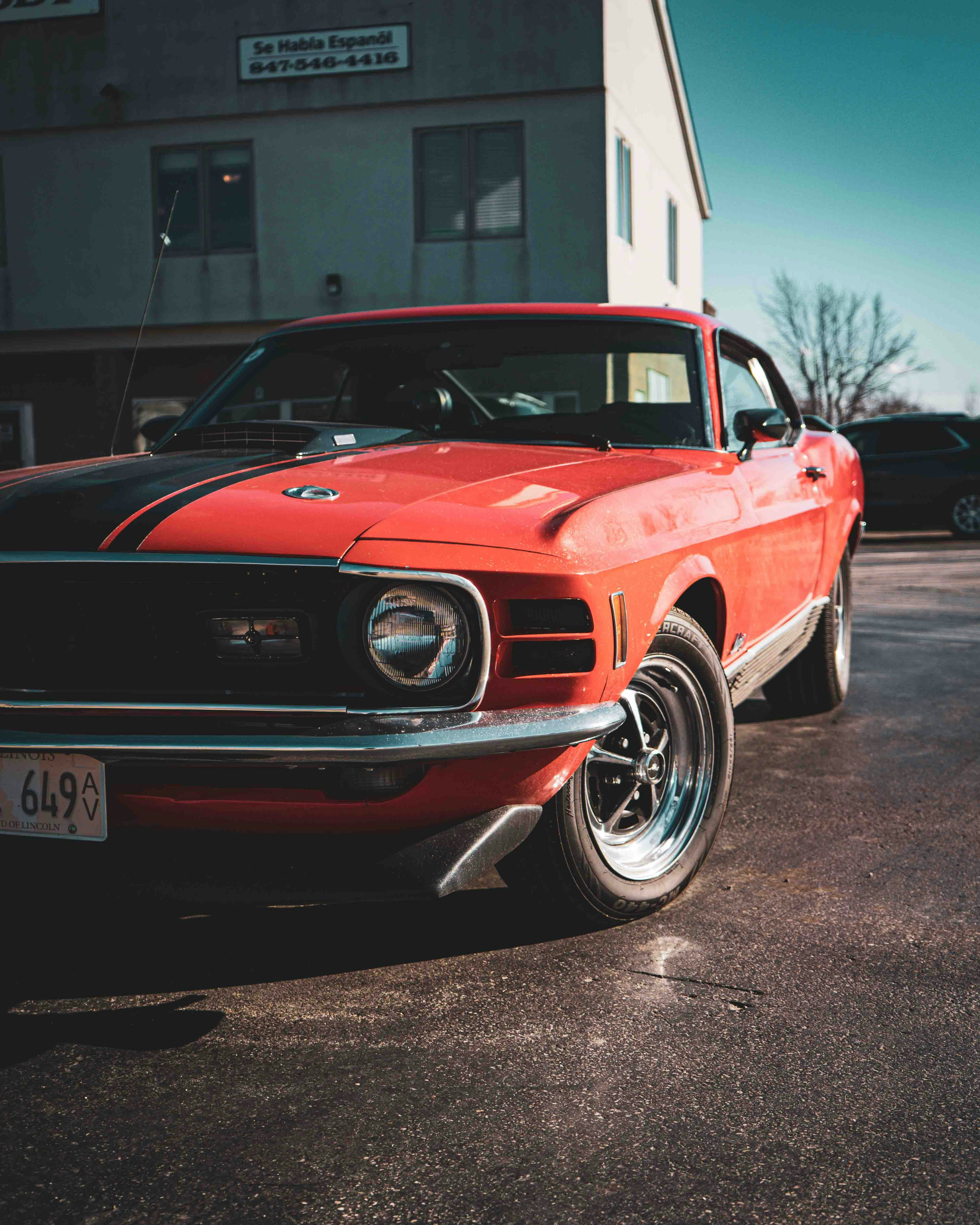 Photo by romanwarren