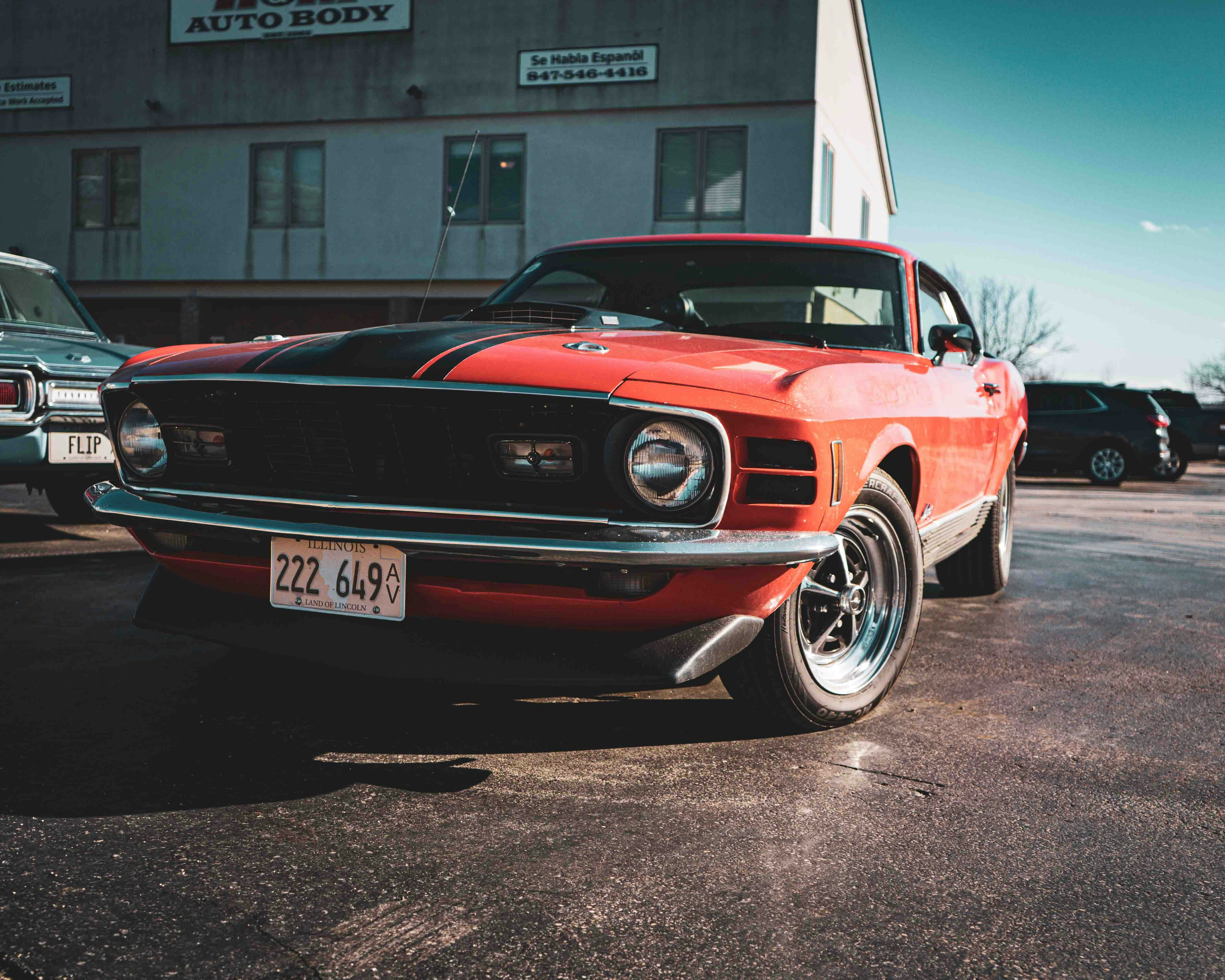 Photo by romanwarren