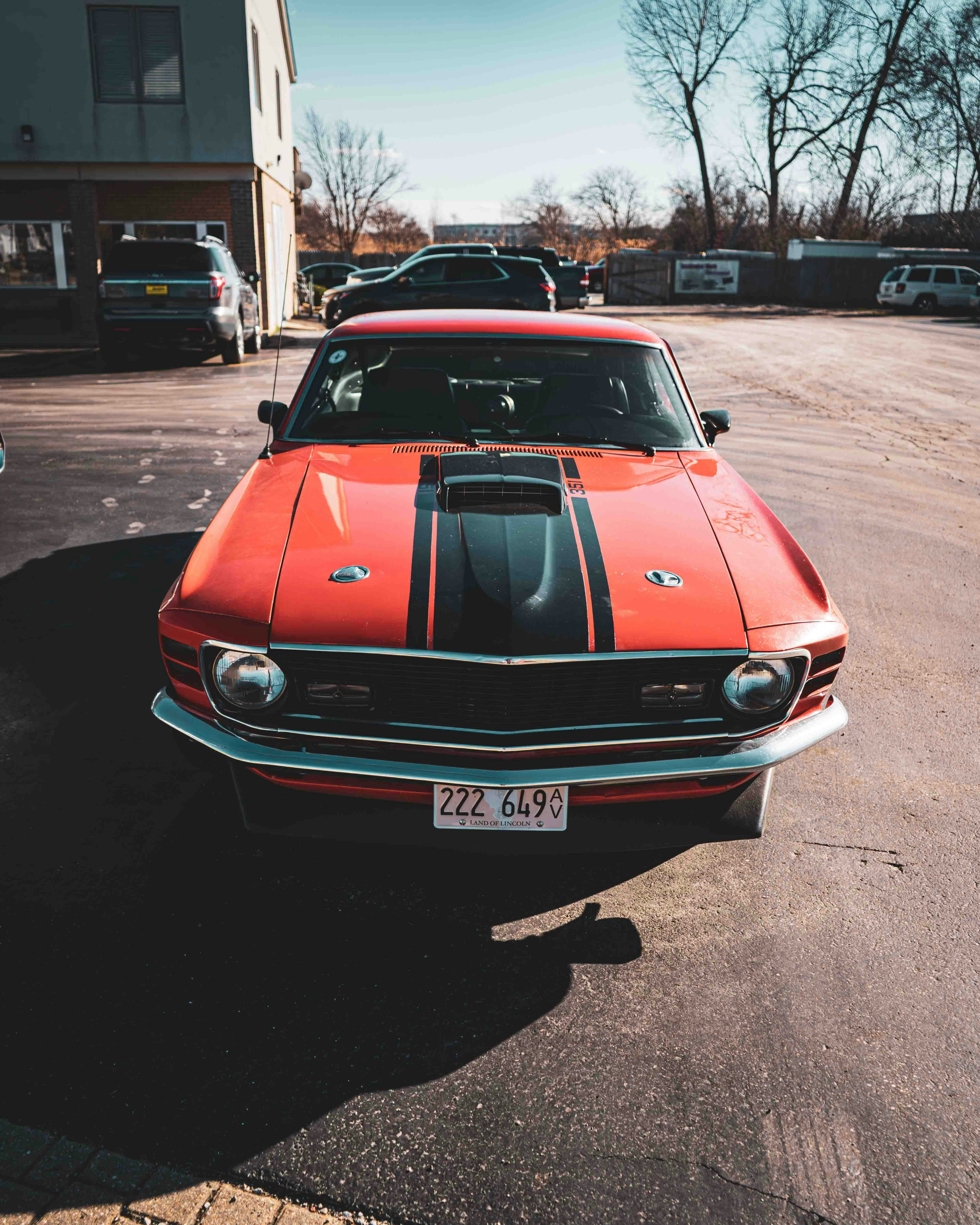 Photo by romanwarren