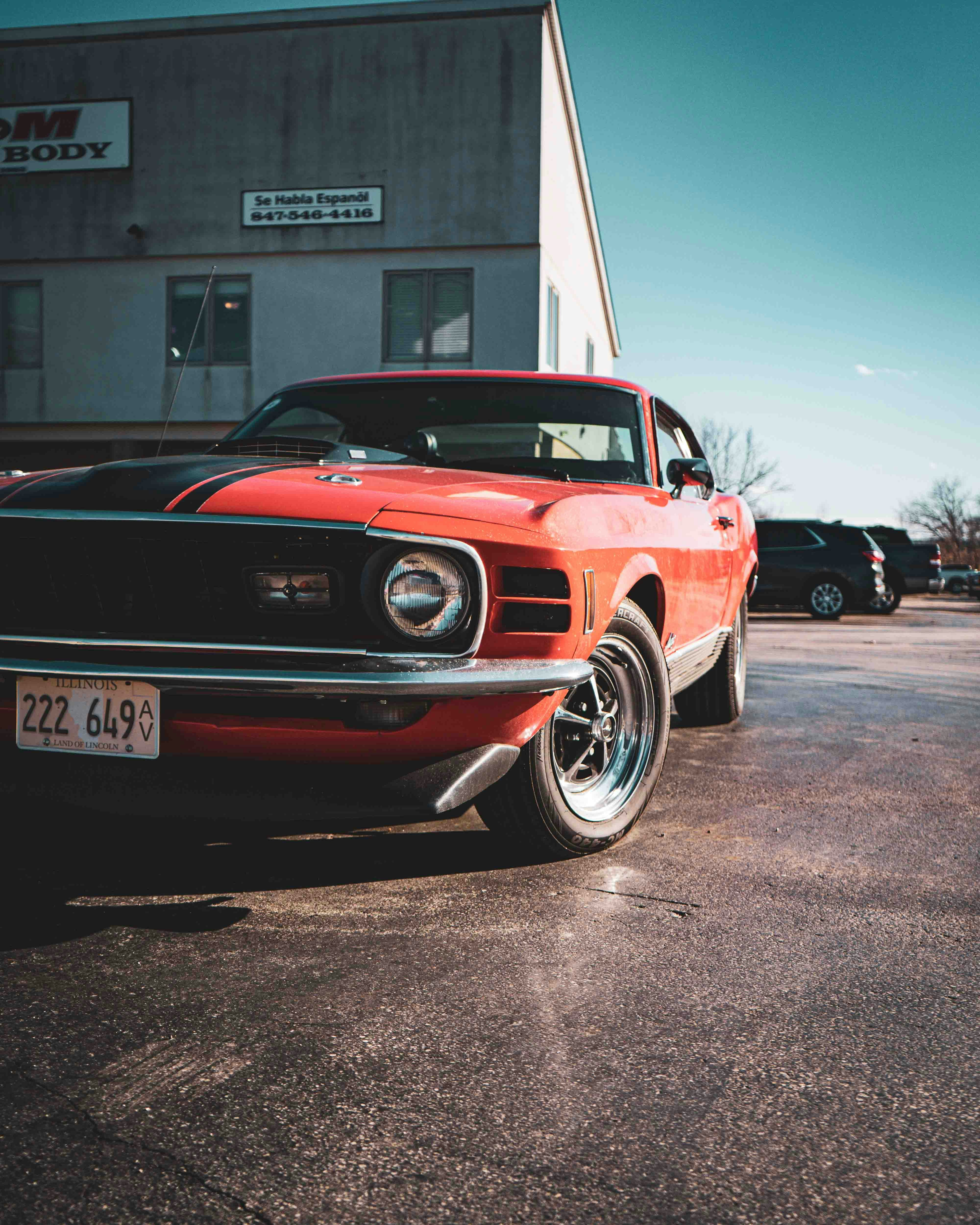 Photo by romanwarren