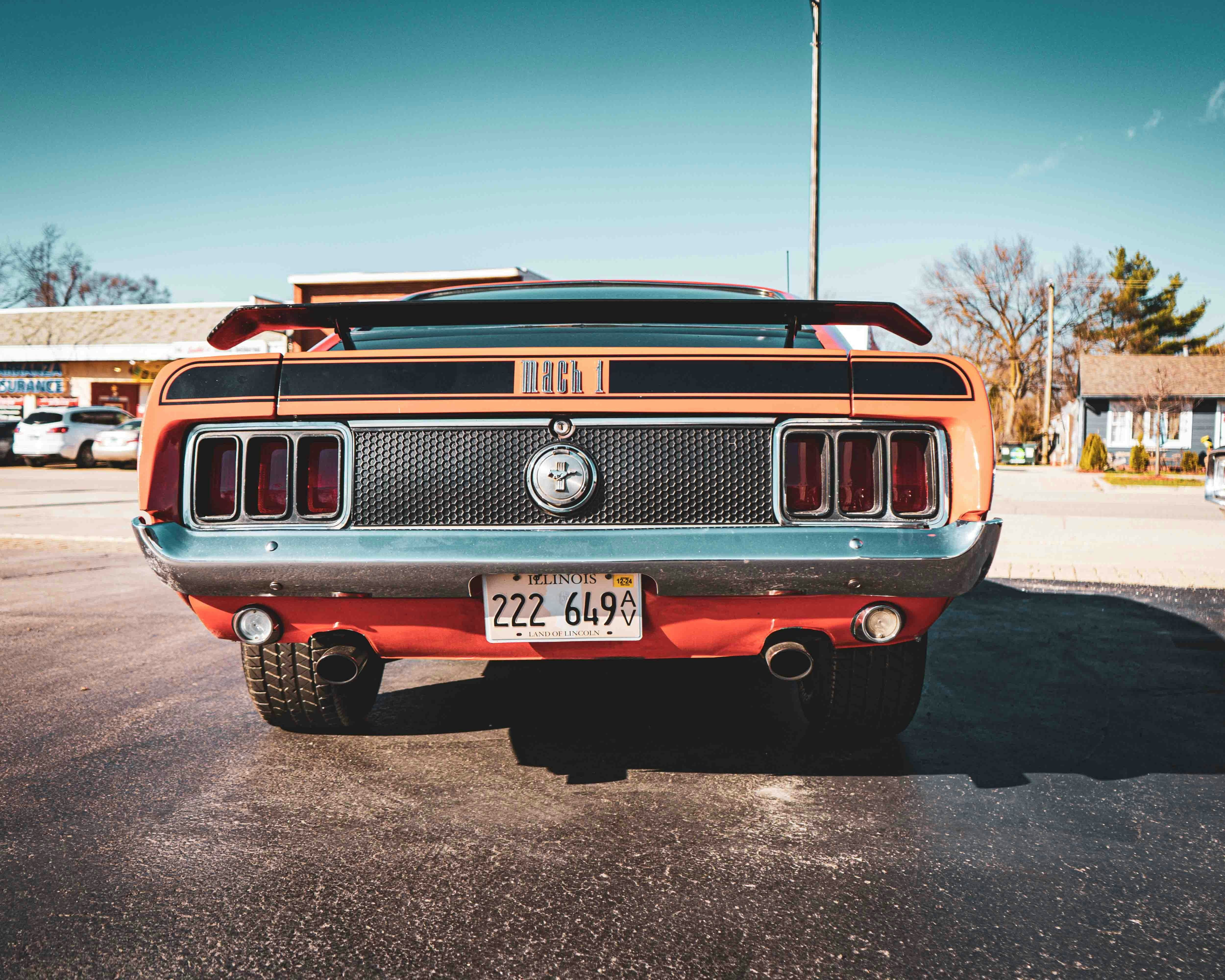 Photo by romanwarren