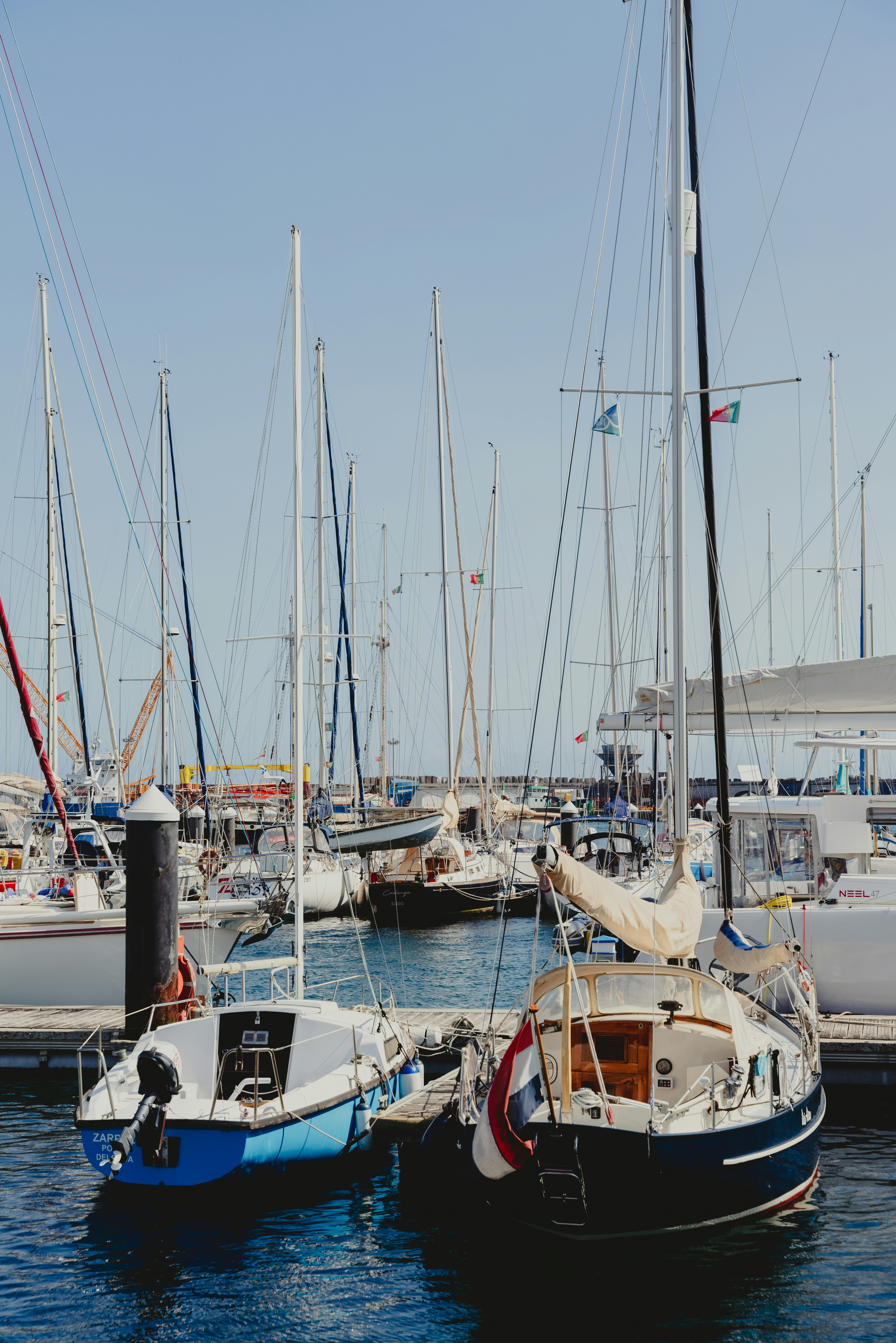 Photo by nellie_adamyan