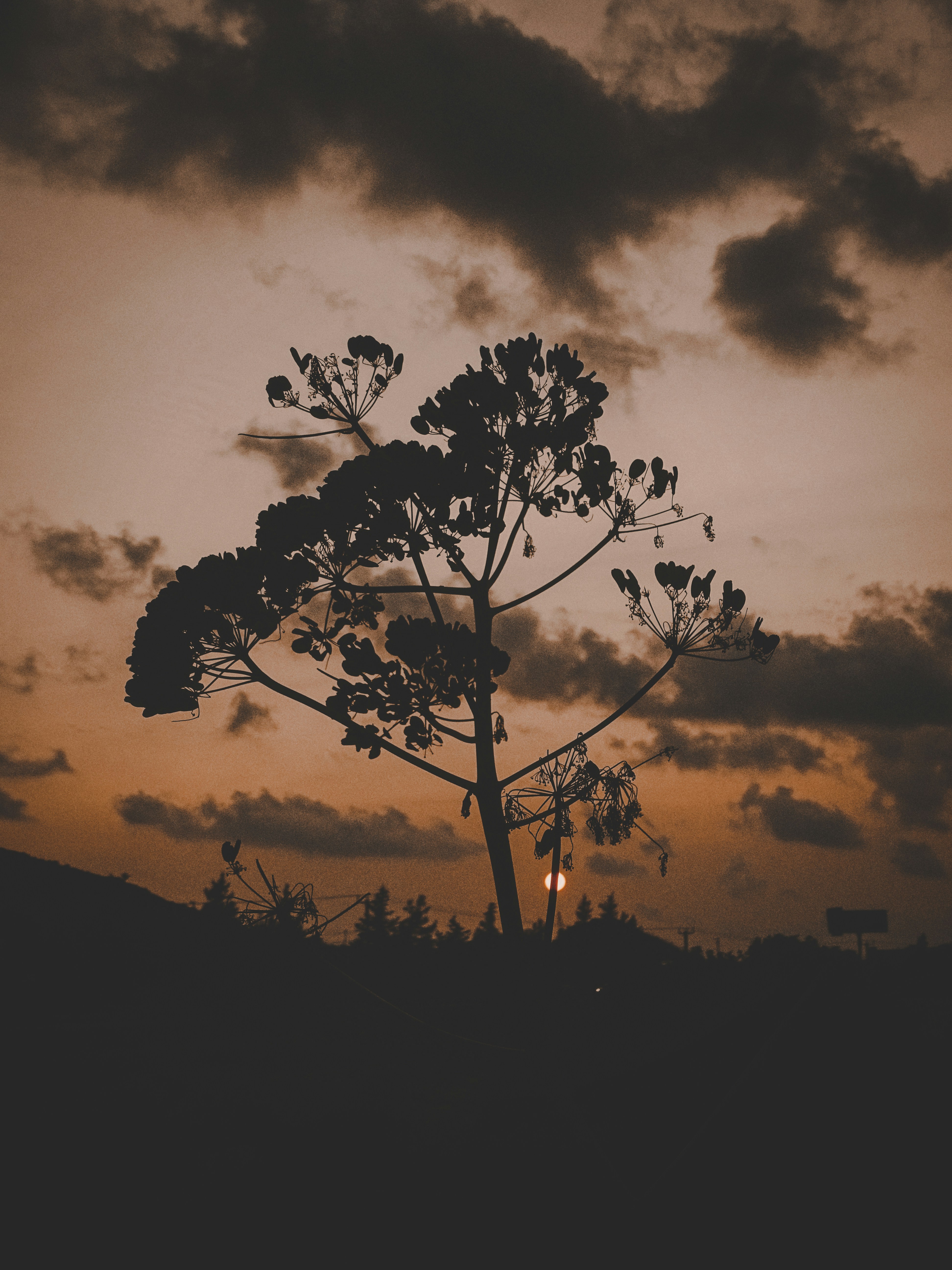 Photo by nikolasmitsiggas