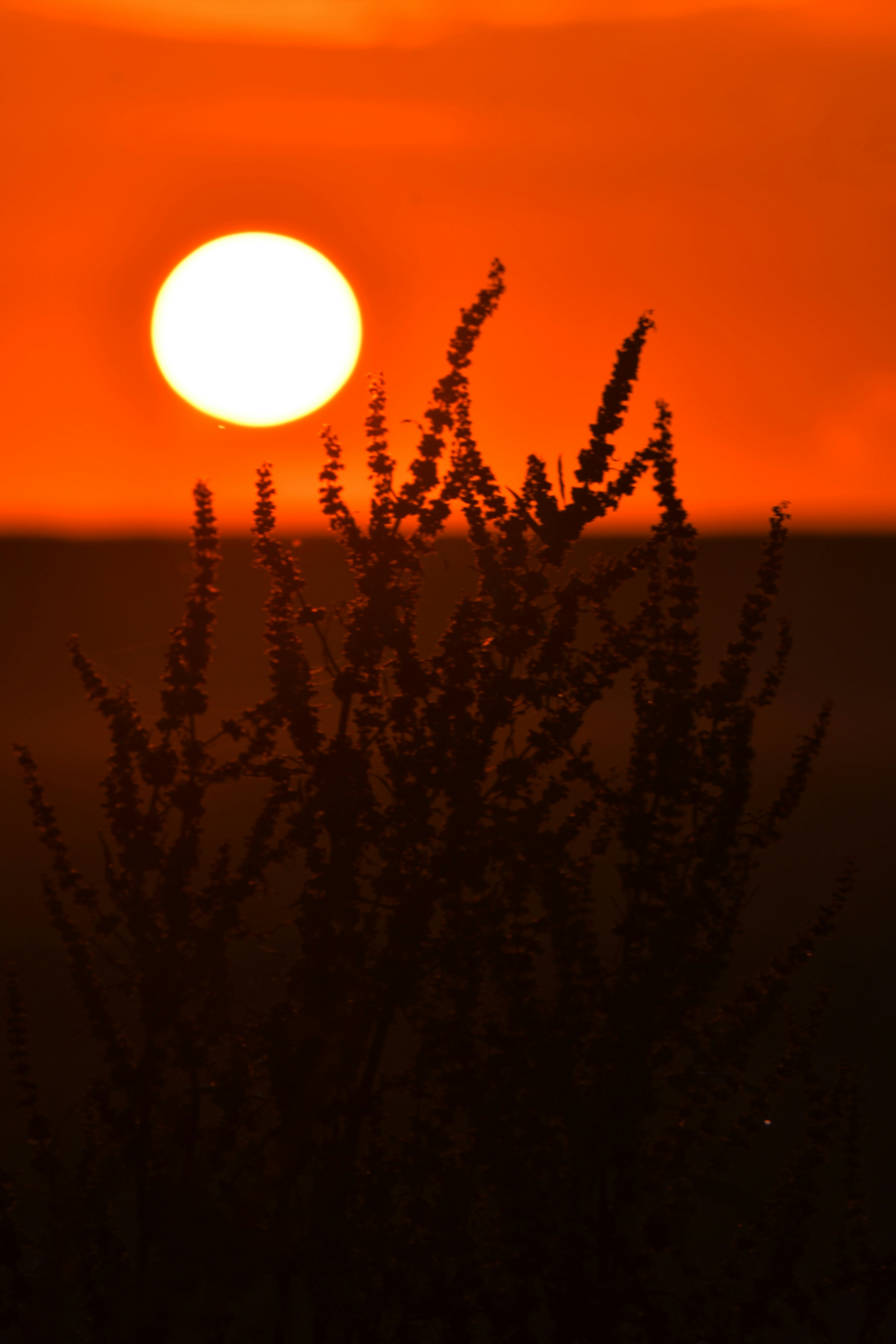 Photo by pedrino5_official