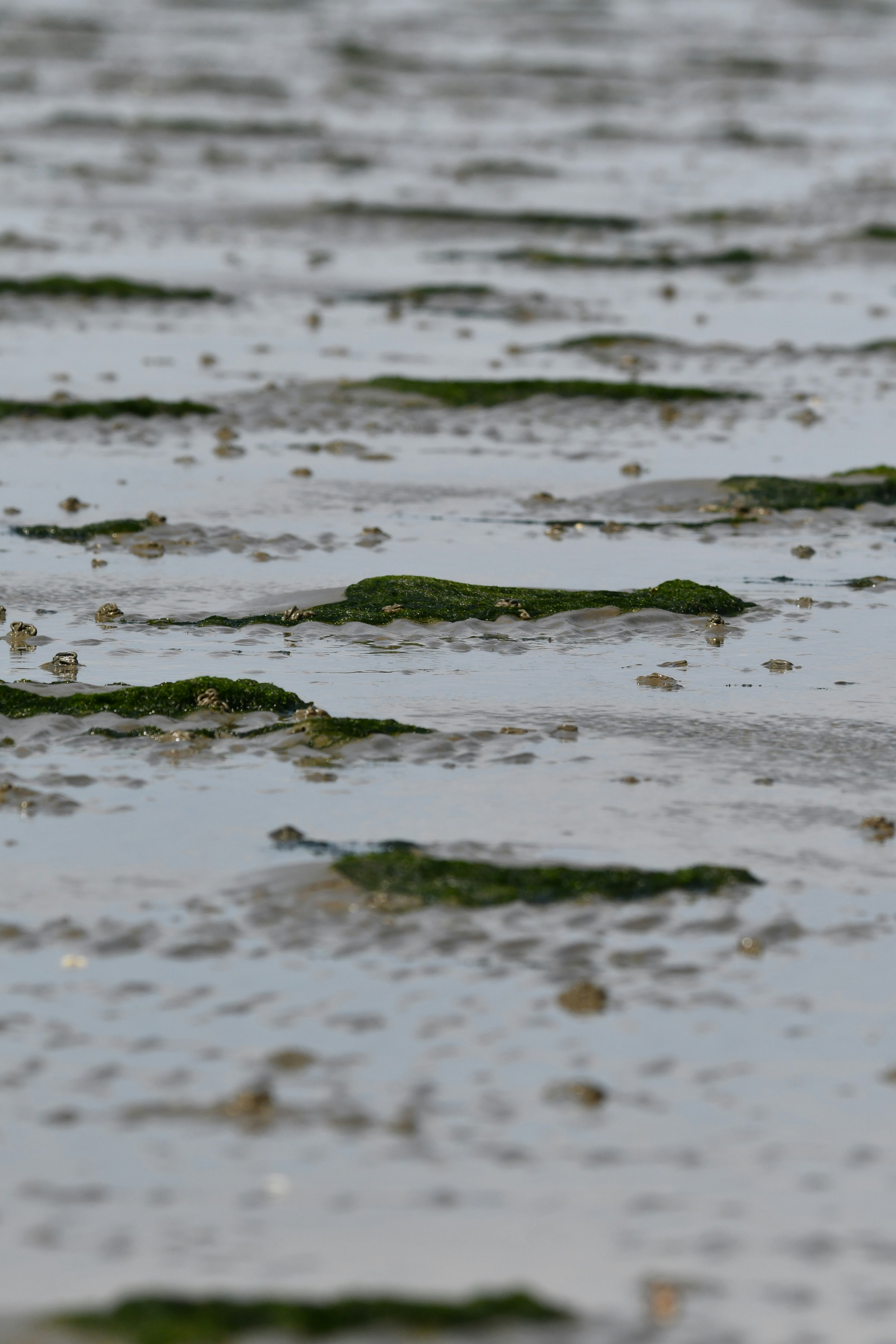 Photo by pedrino5_official