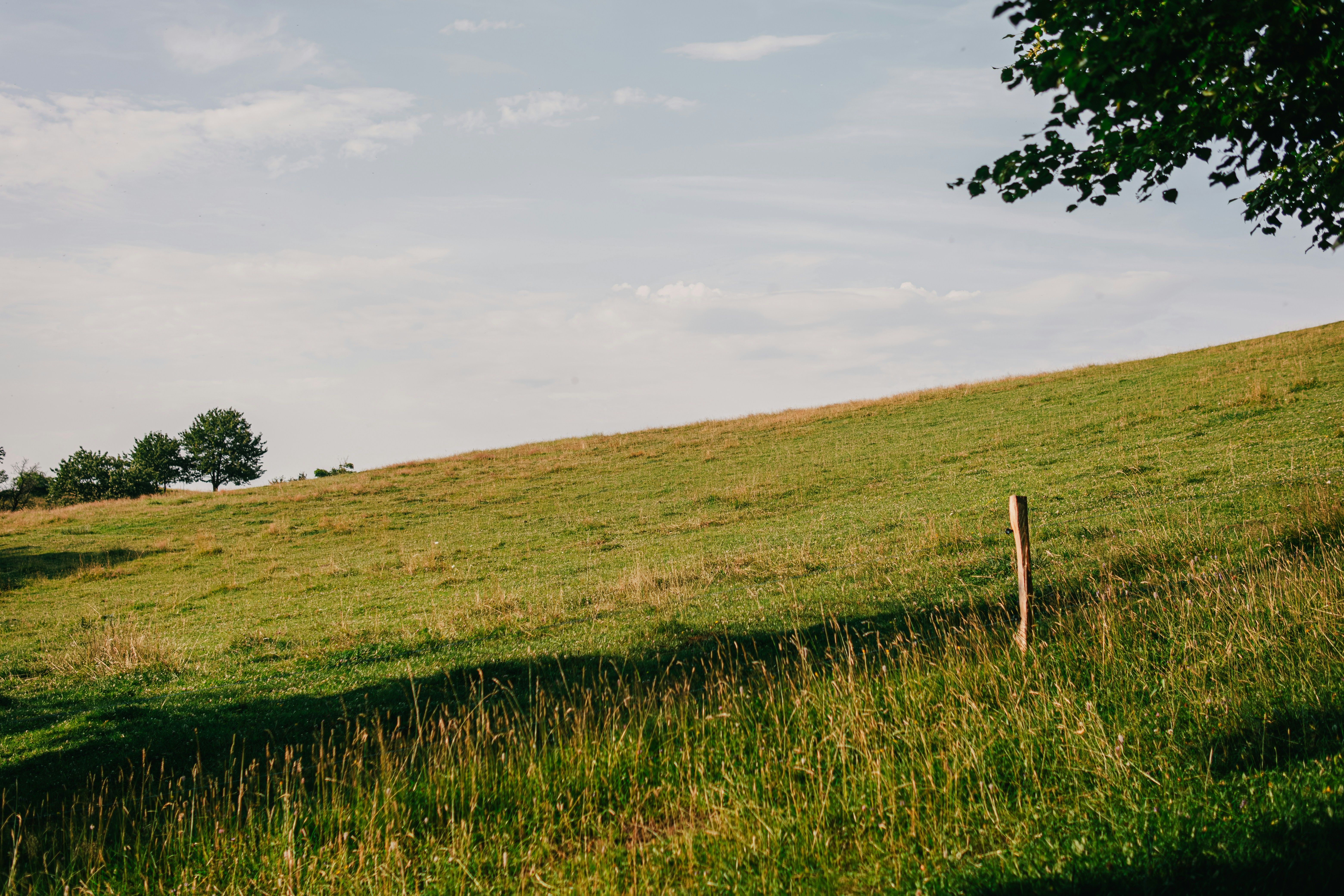 Photo by 17allansfilms