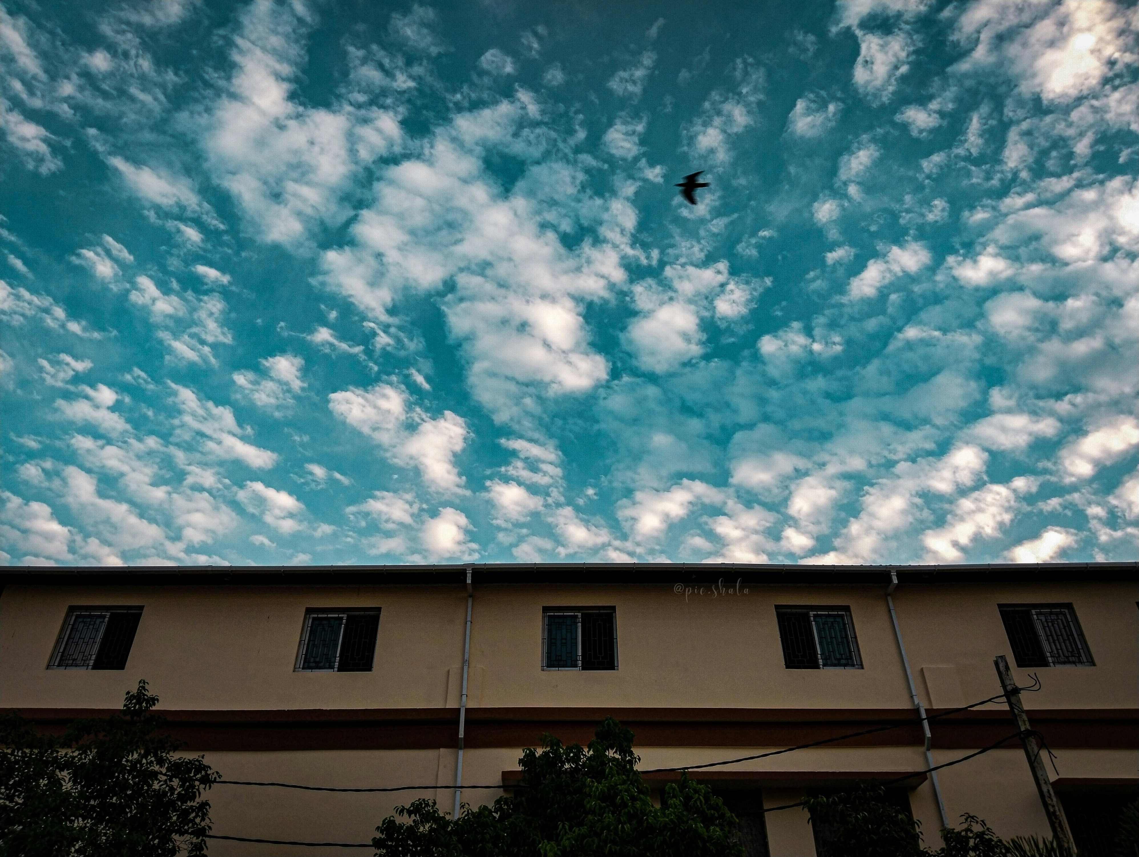 A building with a bird flying in the sky