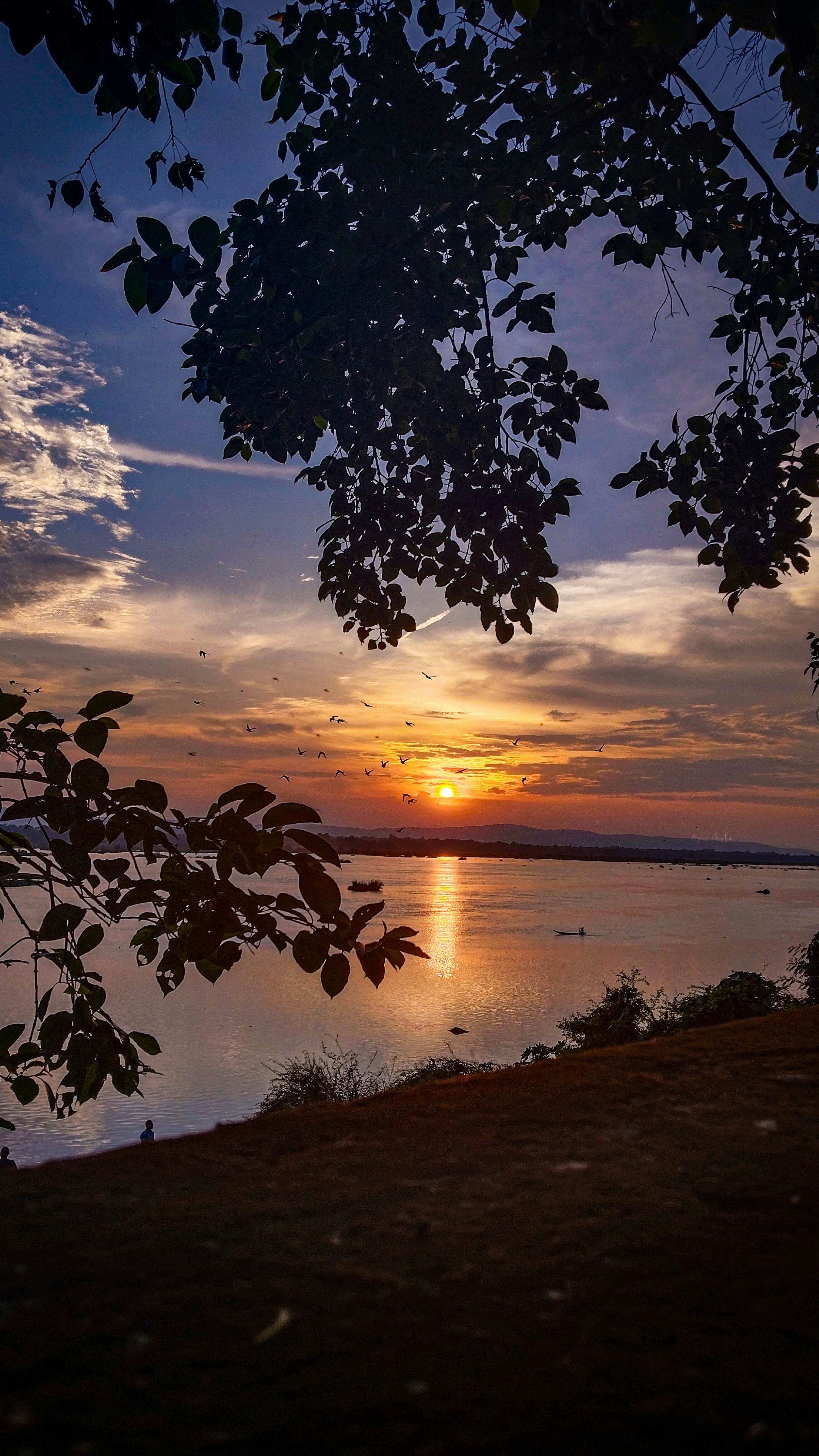 Photo by picshala