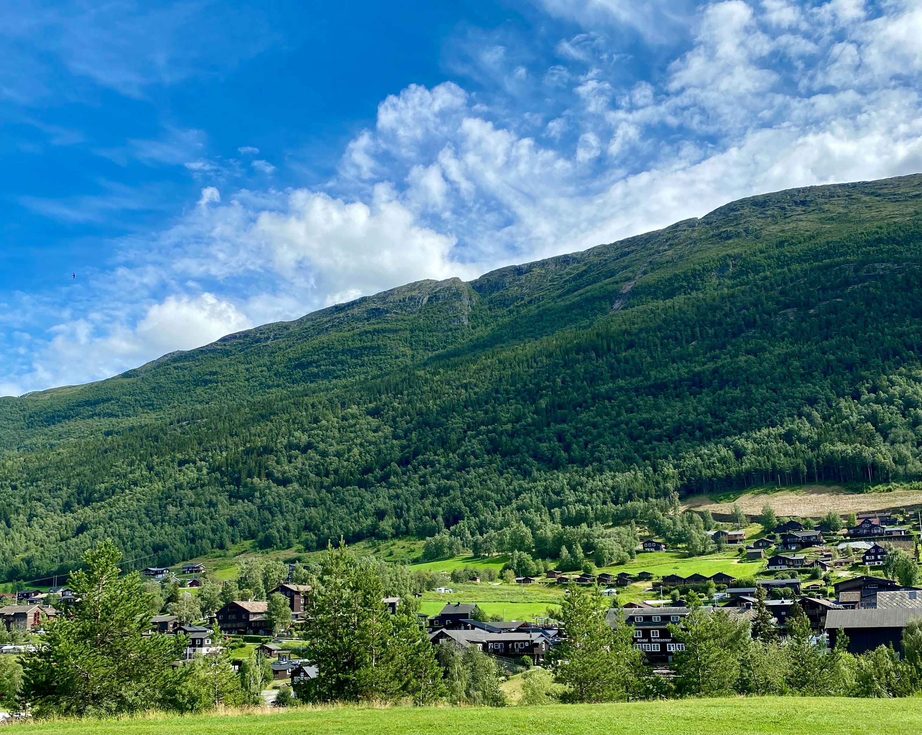 Estate ad Aspen: la festa del cibo tra avventure all'aria aperta