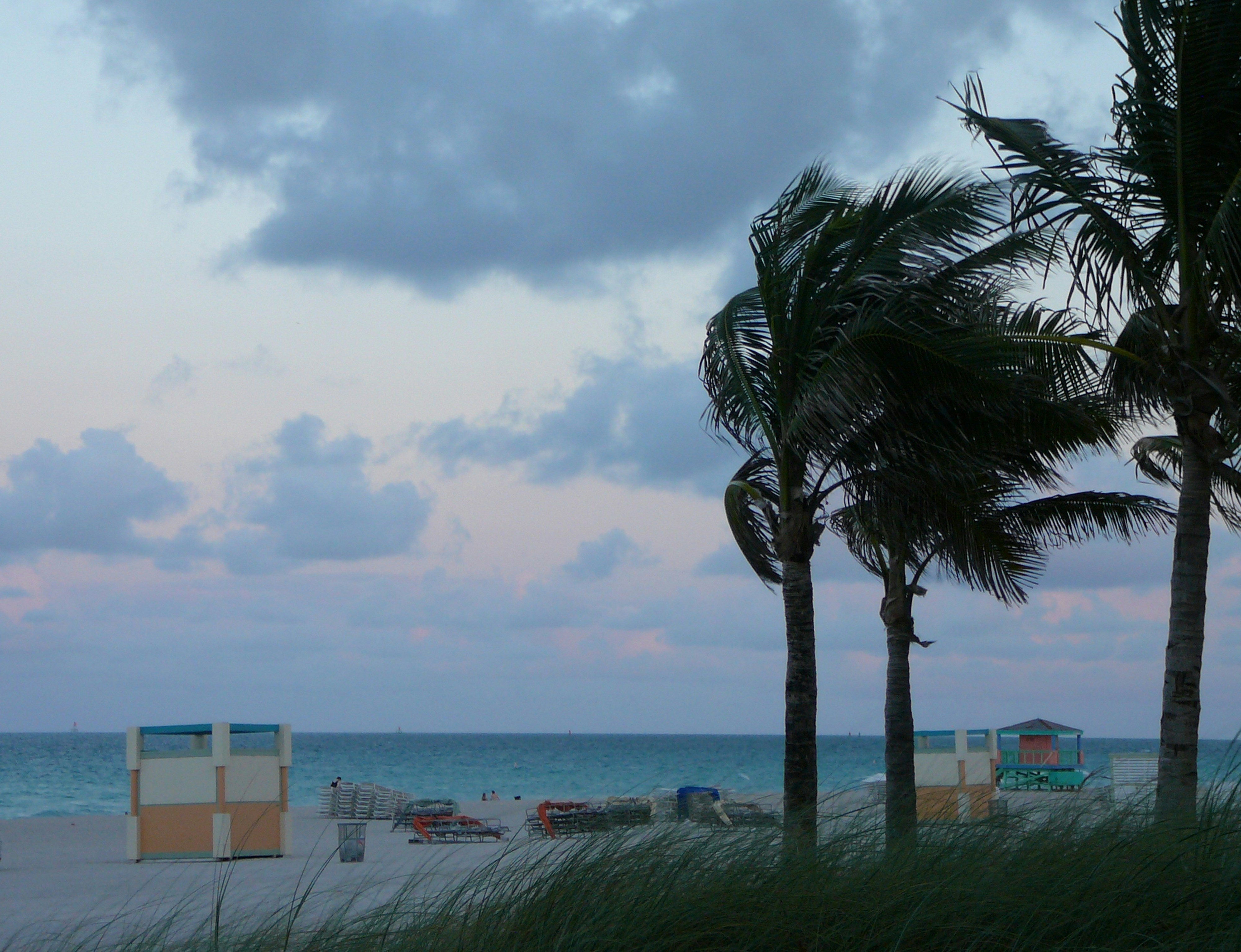 Miami Beach Strand und Palmen