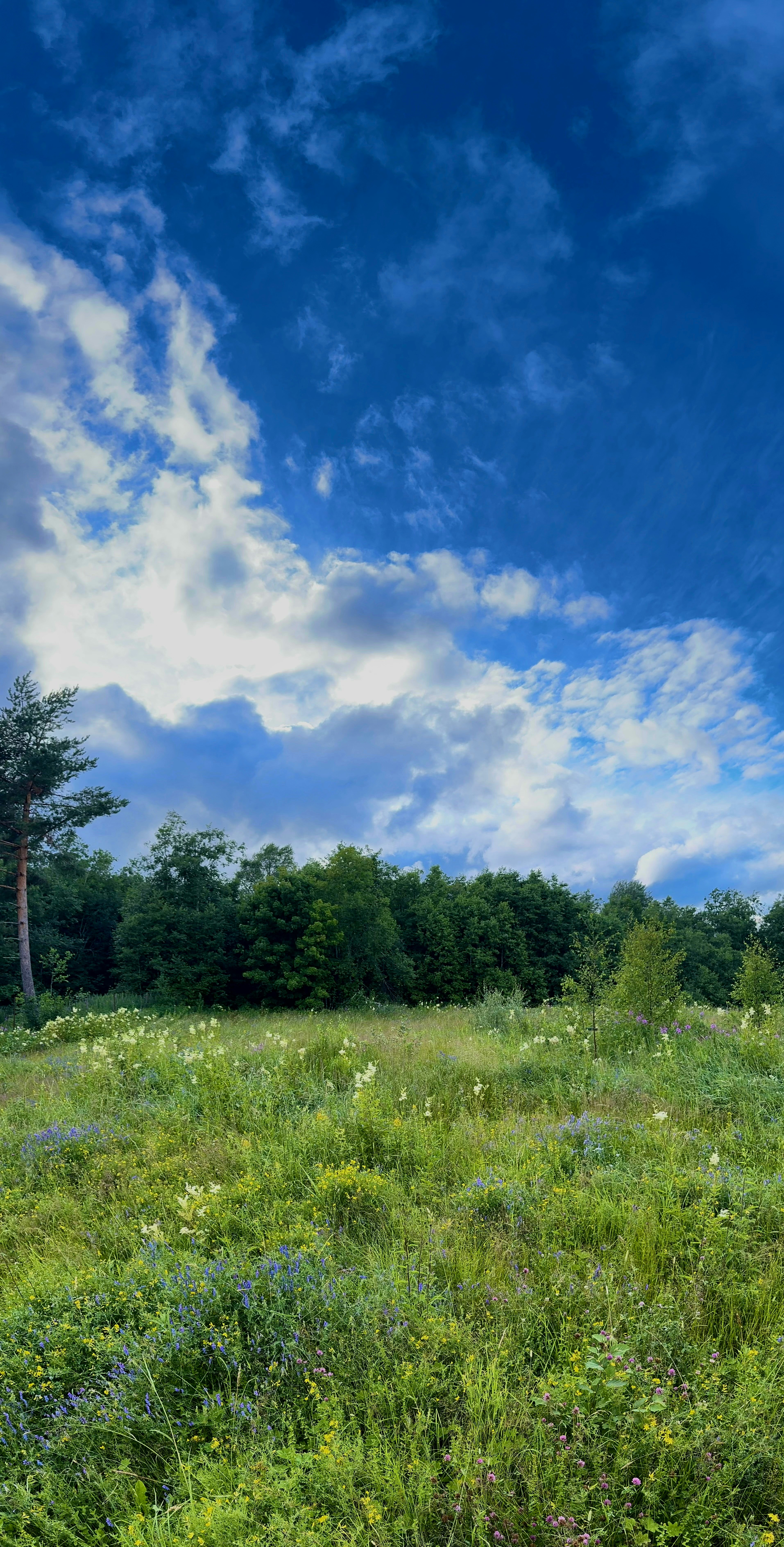 Photo by malibucola_