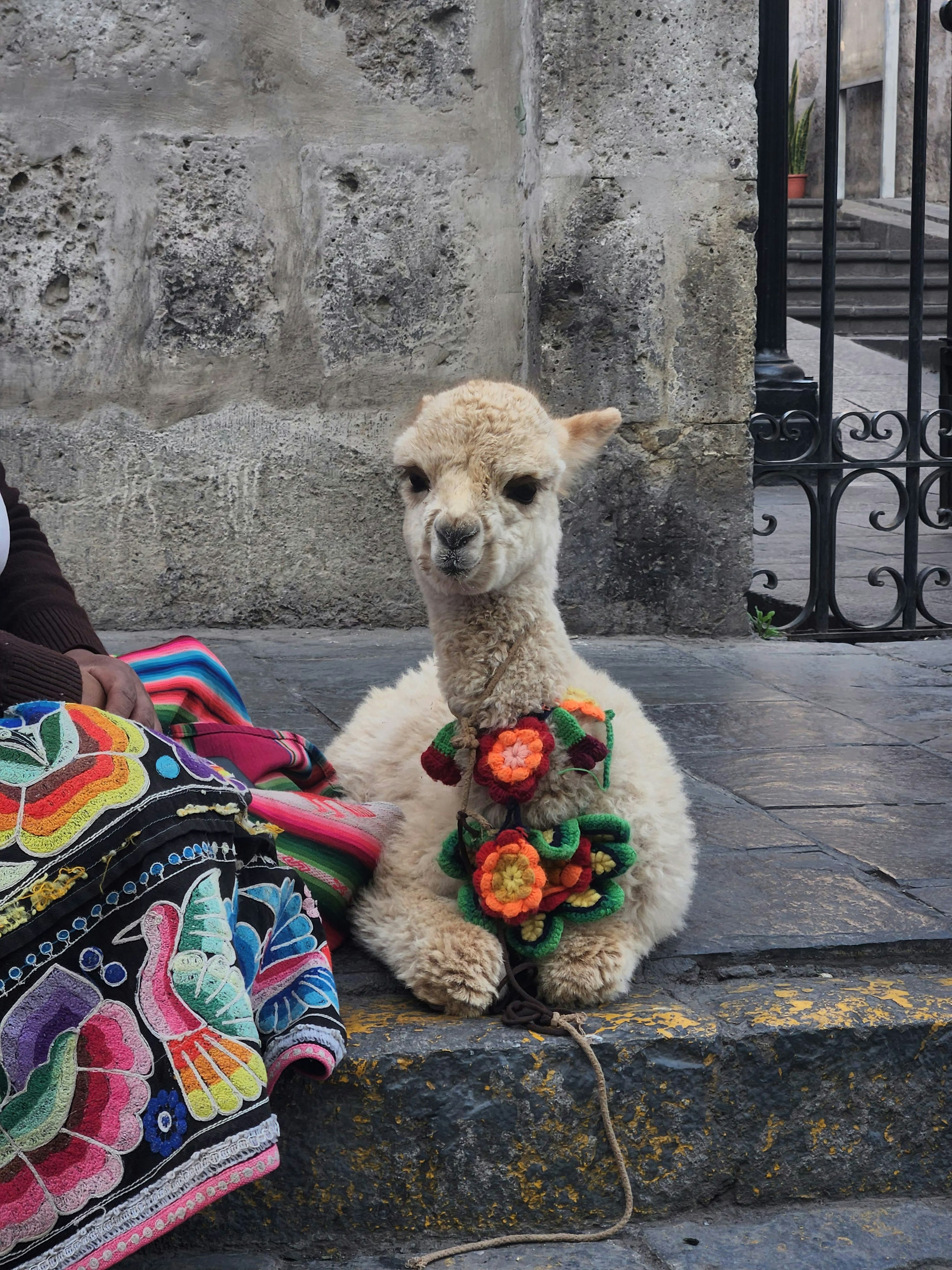 Photo by francoborrelli