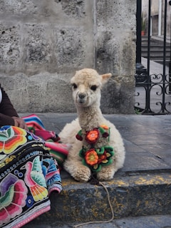 A woman sitting on the steps with a stuffed animal