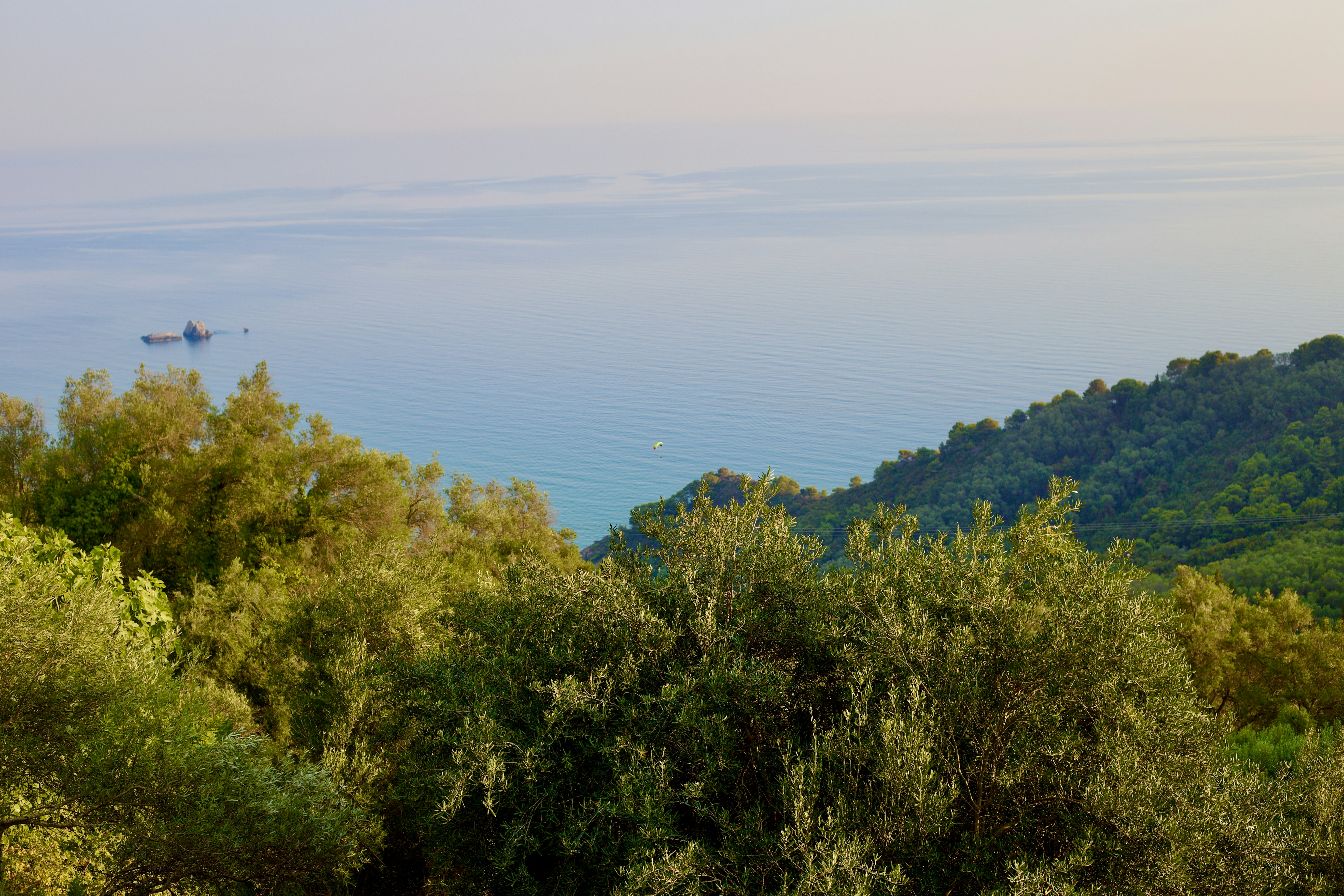Blick auf das Meer von der Spitze eines Hügels