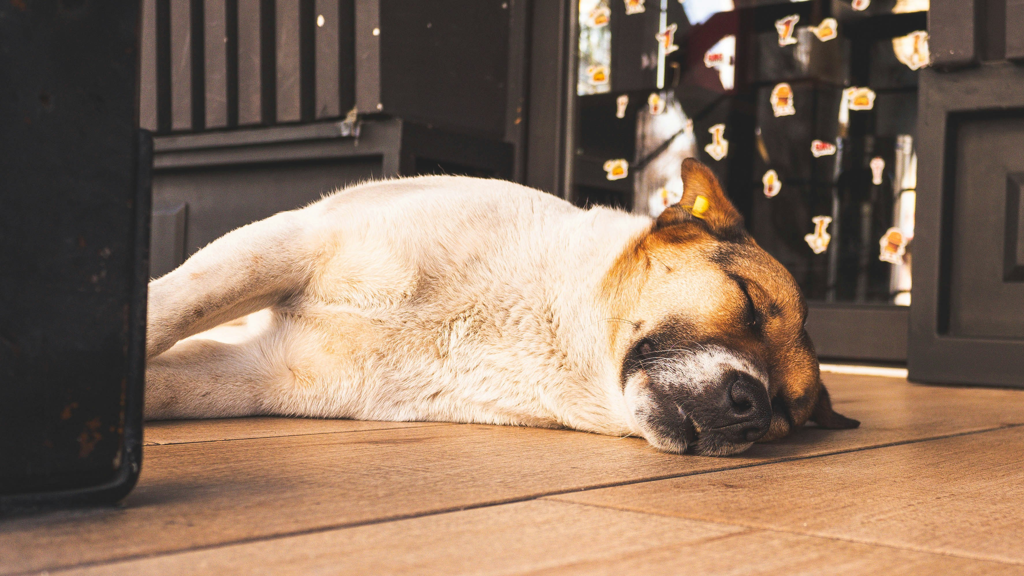 Supporting a Healthy Morning Ritual