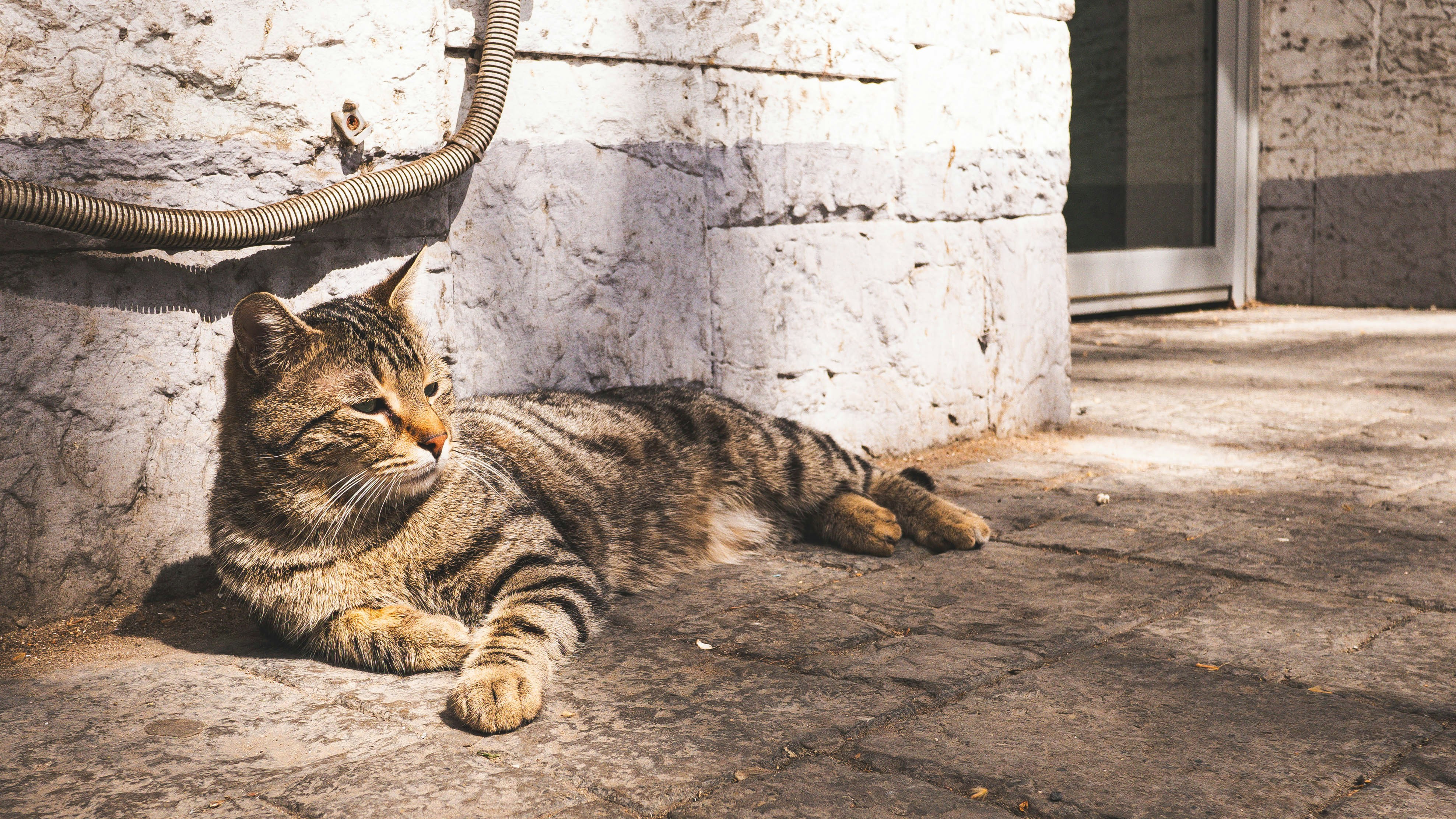 Photo by tototosia