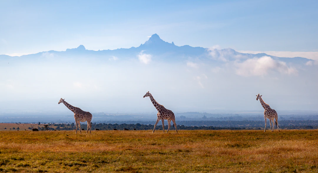 Kenia