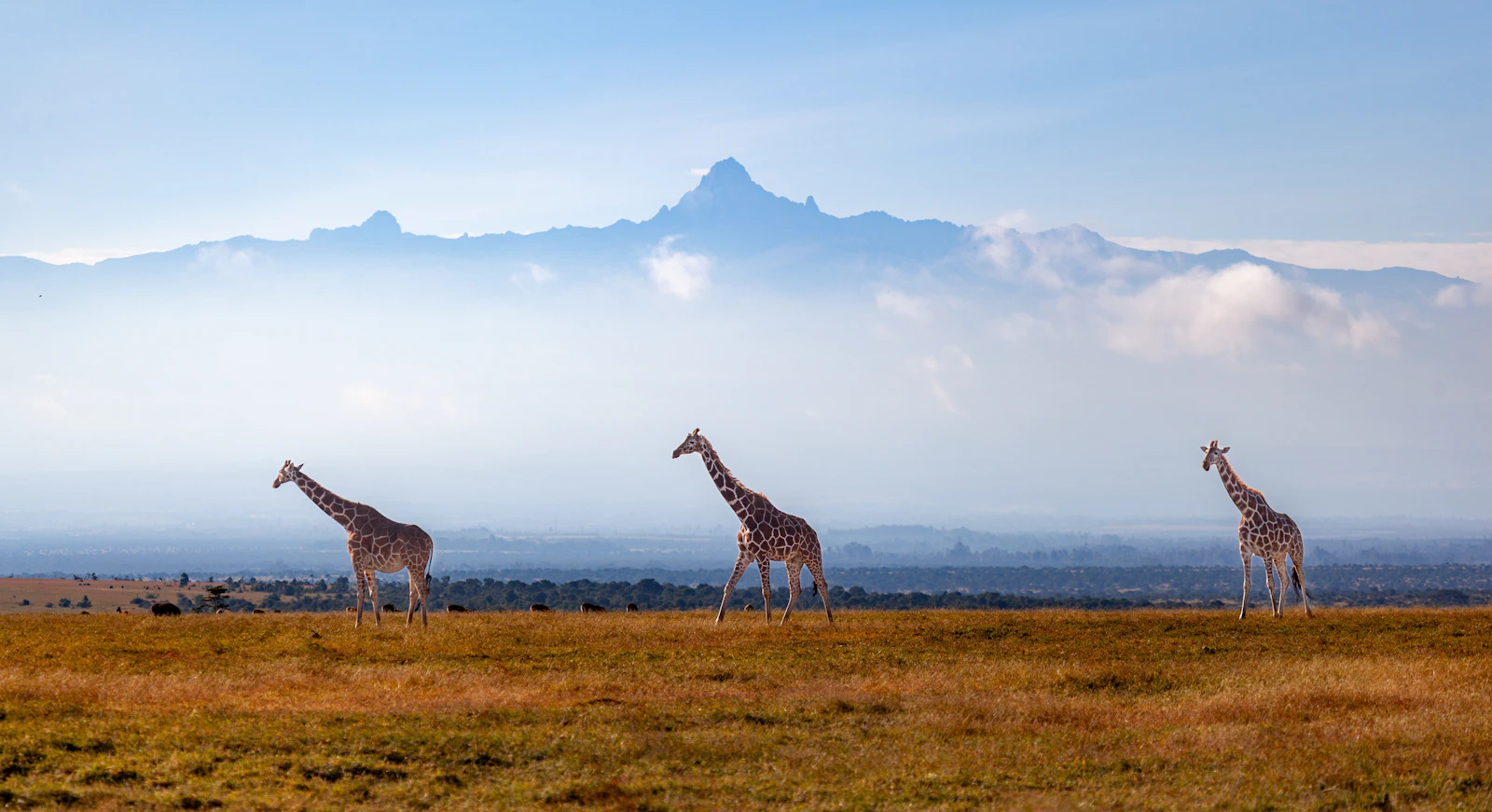 Kenia