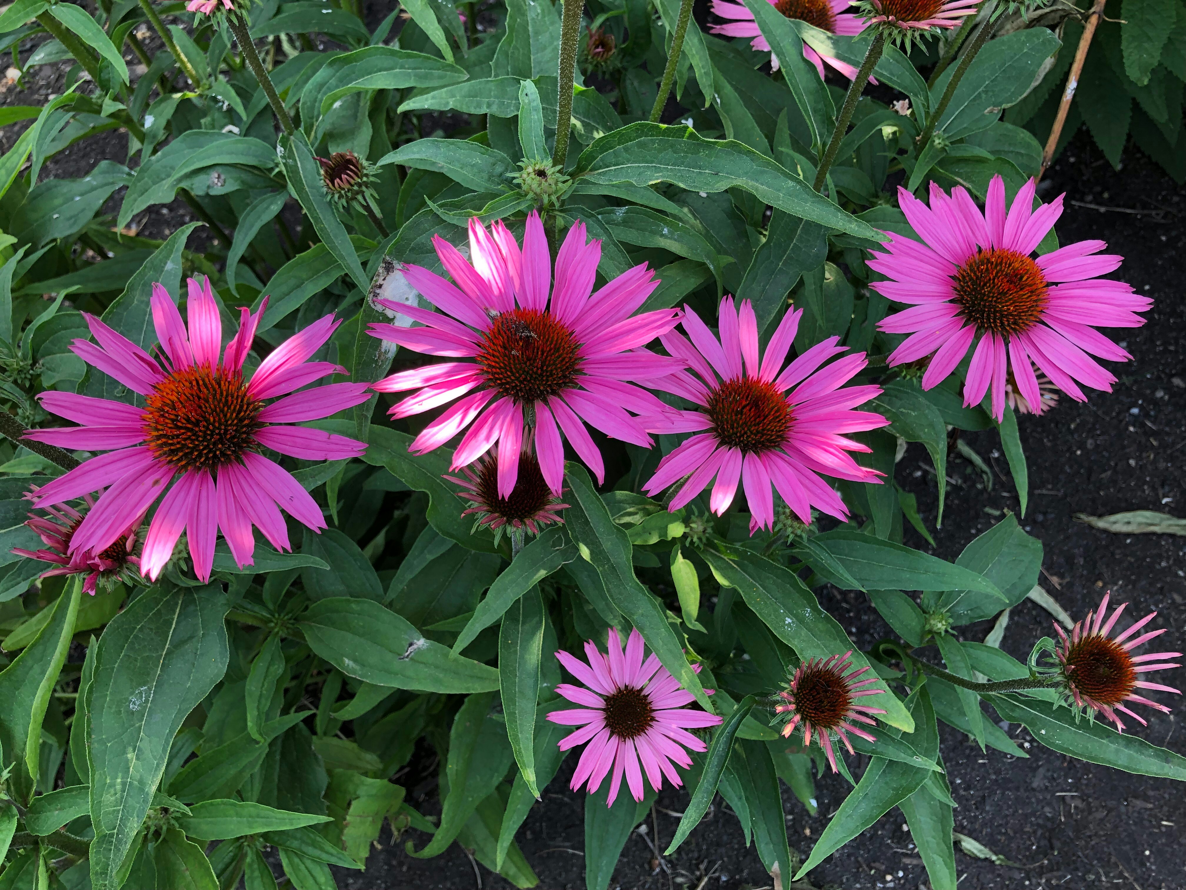 Photo by liberatetheimage