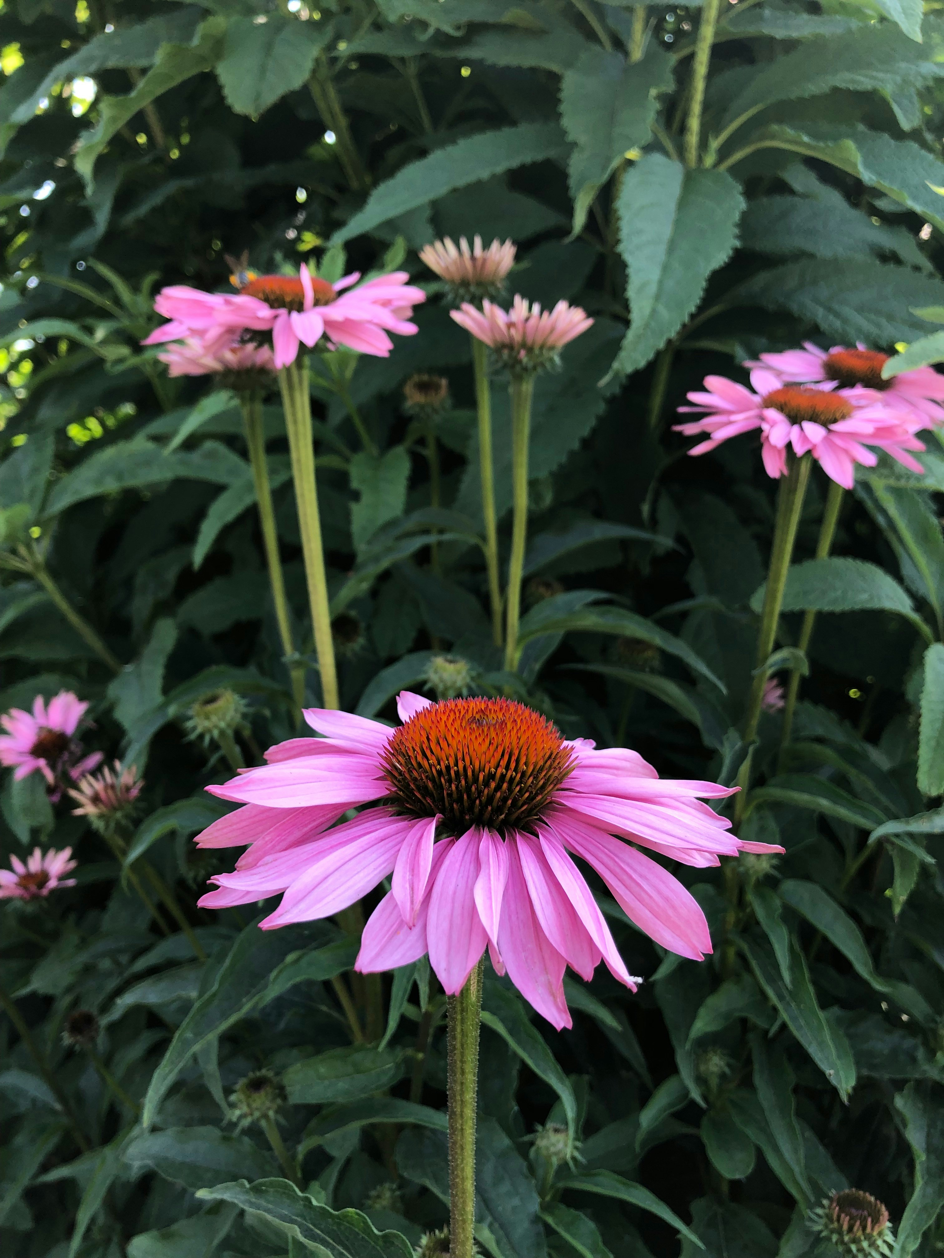 Photo by liberatetheimage