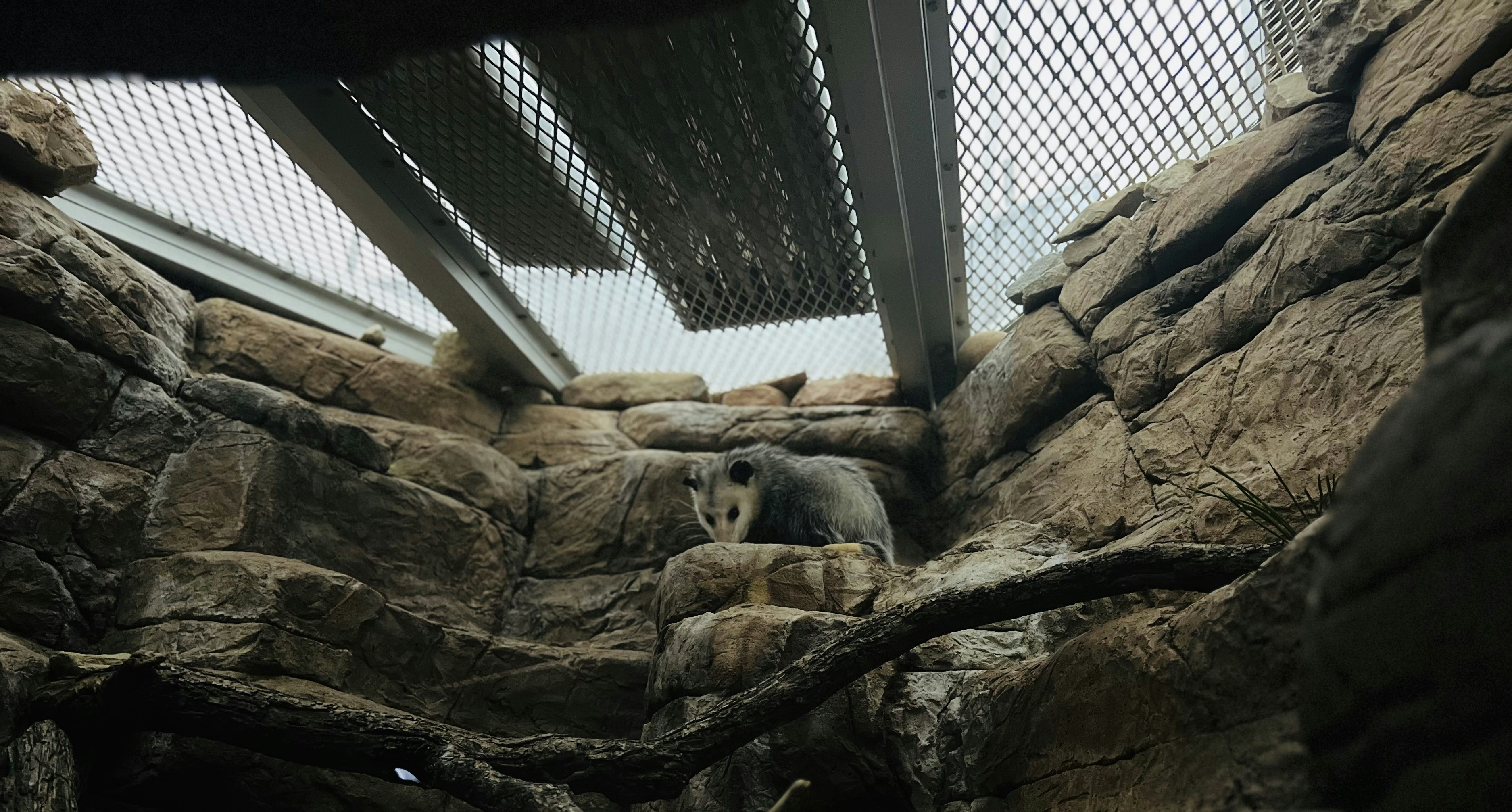 photo-1721177319255-e2340768a583?ixid=M3wxMjA3fDB8MXxzZWFyY2h8MTR8fCVEOCVCOSVEOSU4QSVEOCVBNyVEOCVBRiVEOCVBOSUyMCVEOCVBNyVEOSU4NCVEOCVBRiVEOSU4OCVEOSU4NCVEOSU4MSVEOSU4QSVEOSU4NnxlbnwwfHx8fDE3NjU0OTQ4MjV8MA\u0026ixlib=rb-4.1.0