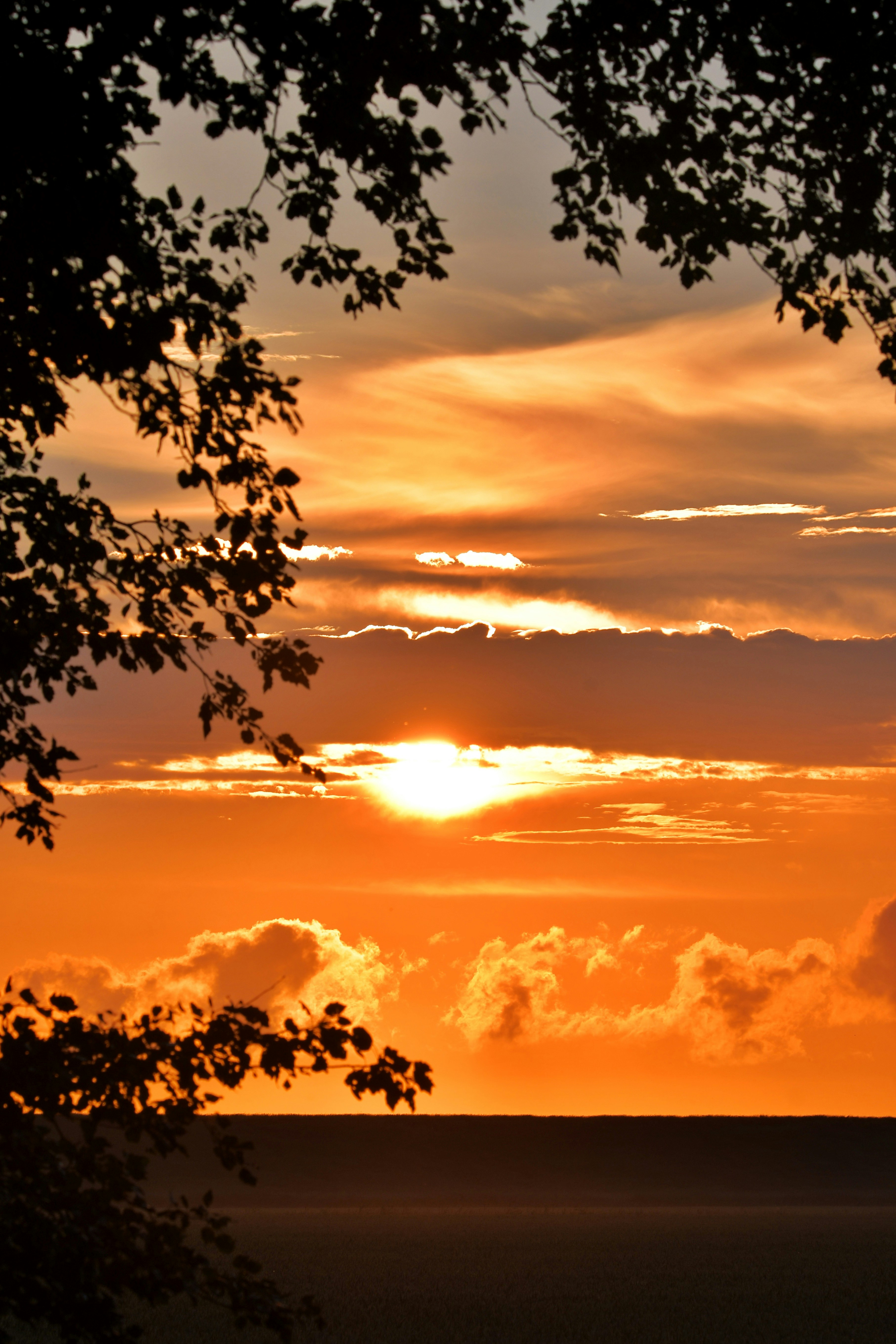 Photo by pedrino5_official