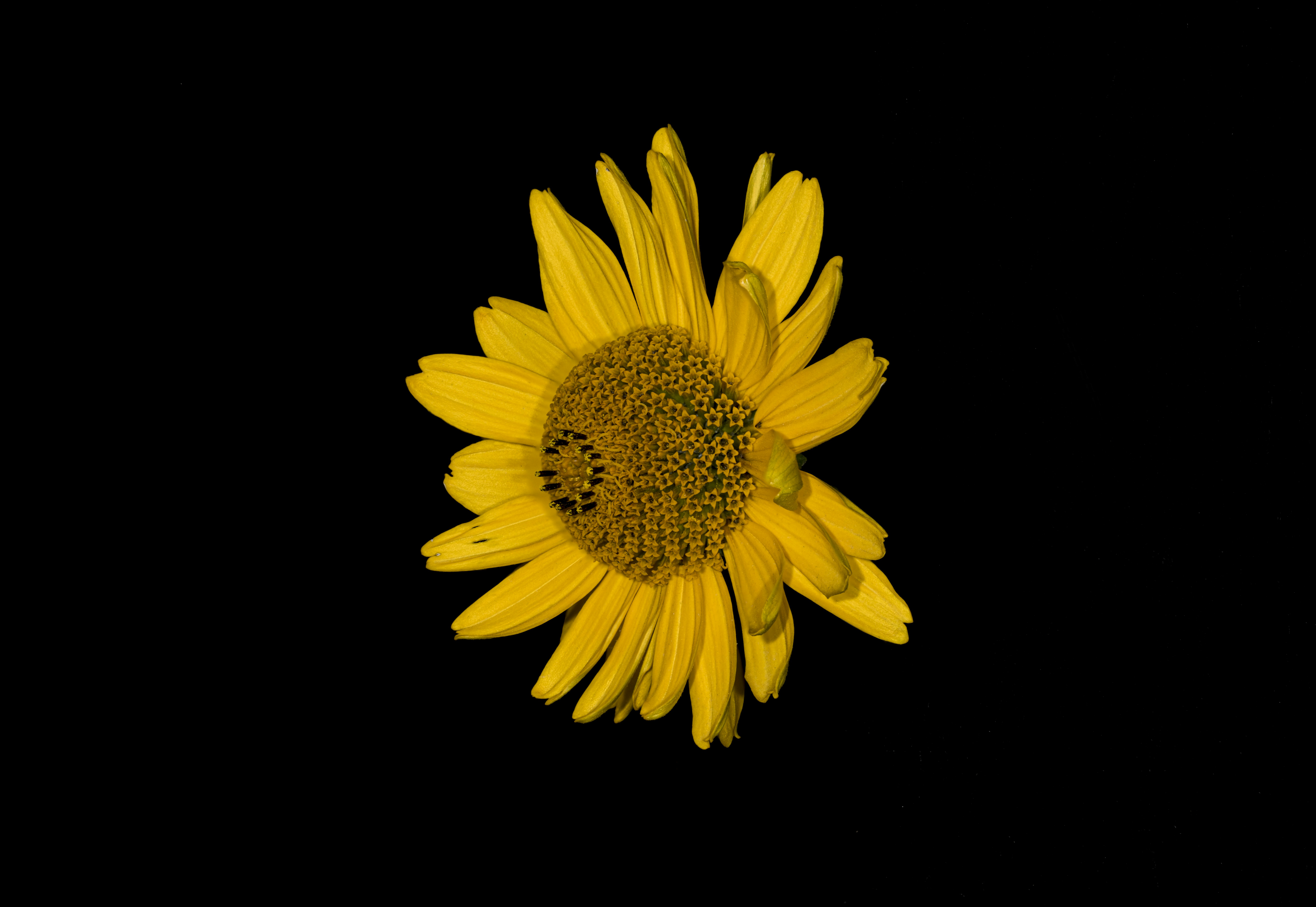 Photo by alexandredaoust