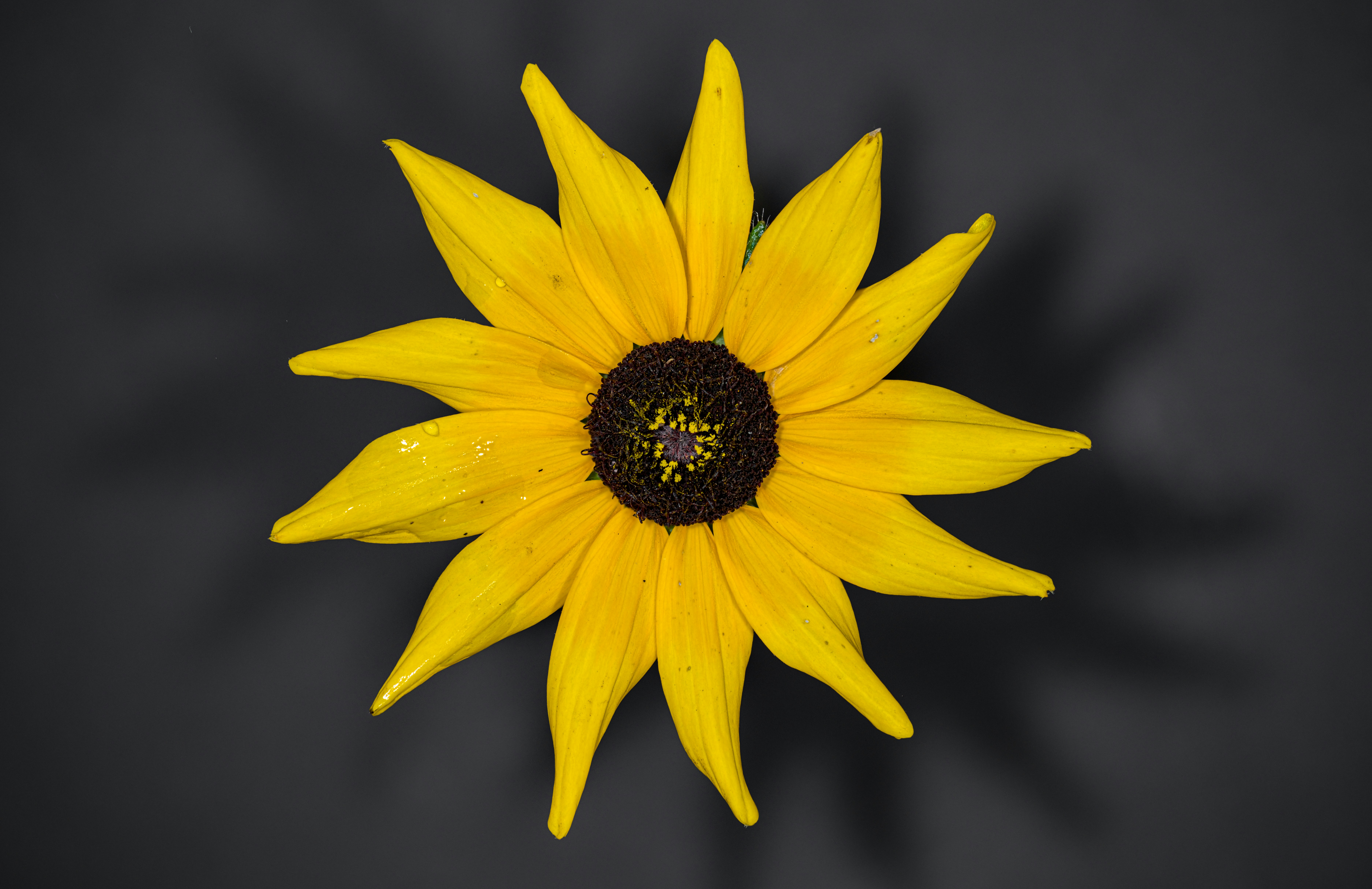 Photo by alexandredaoust