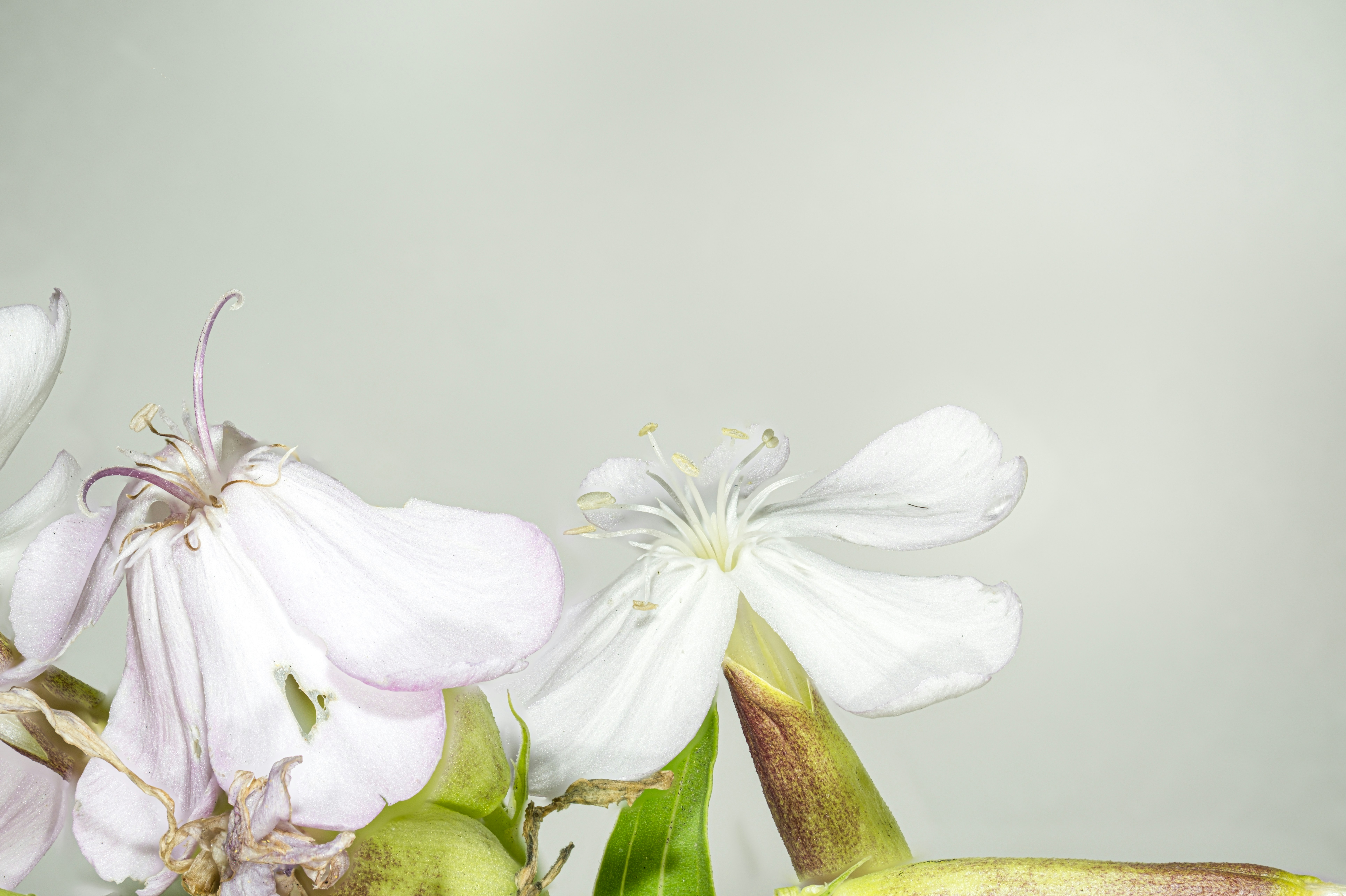 Photo by alexandredaoust