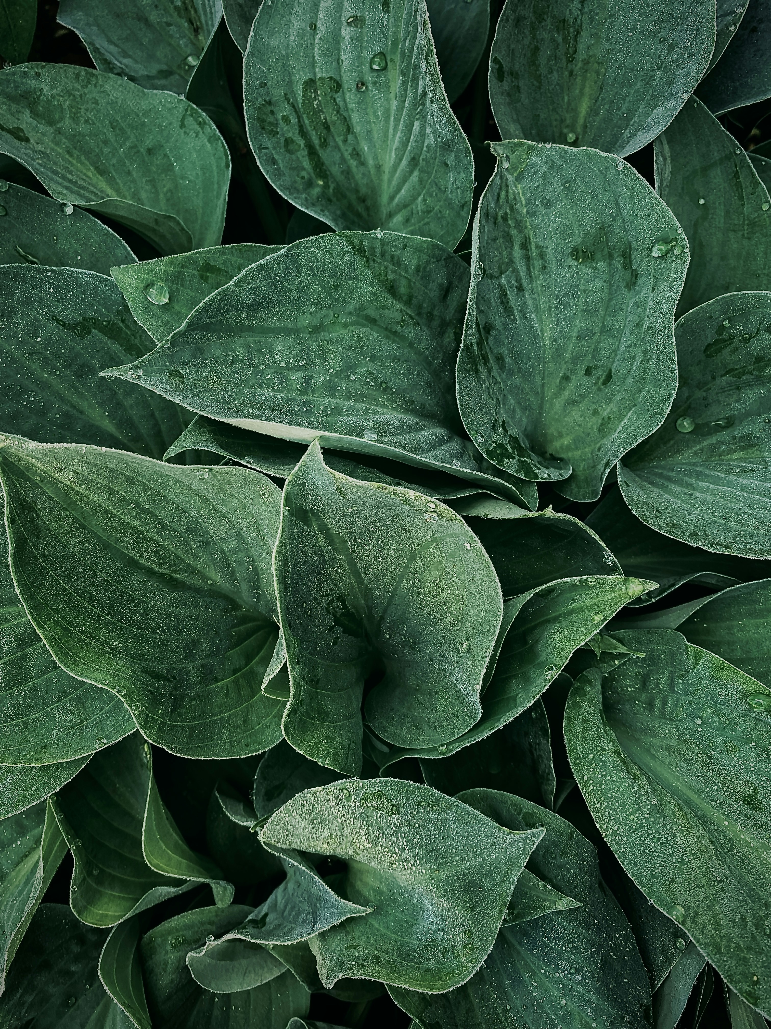 Photo by eugene_golovesov