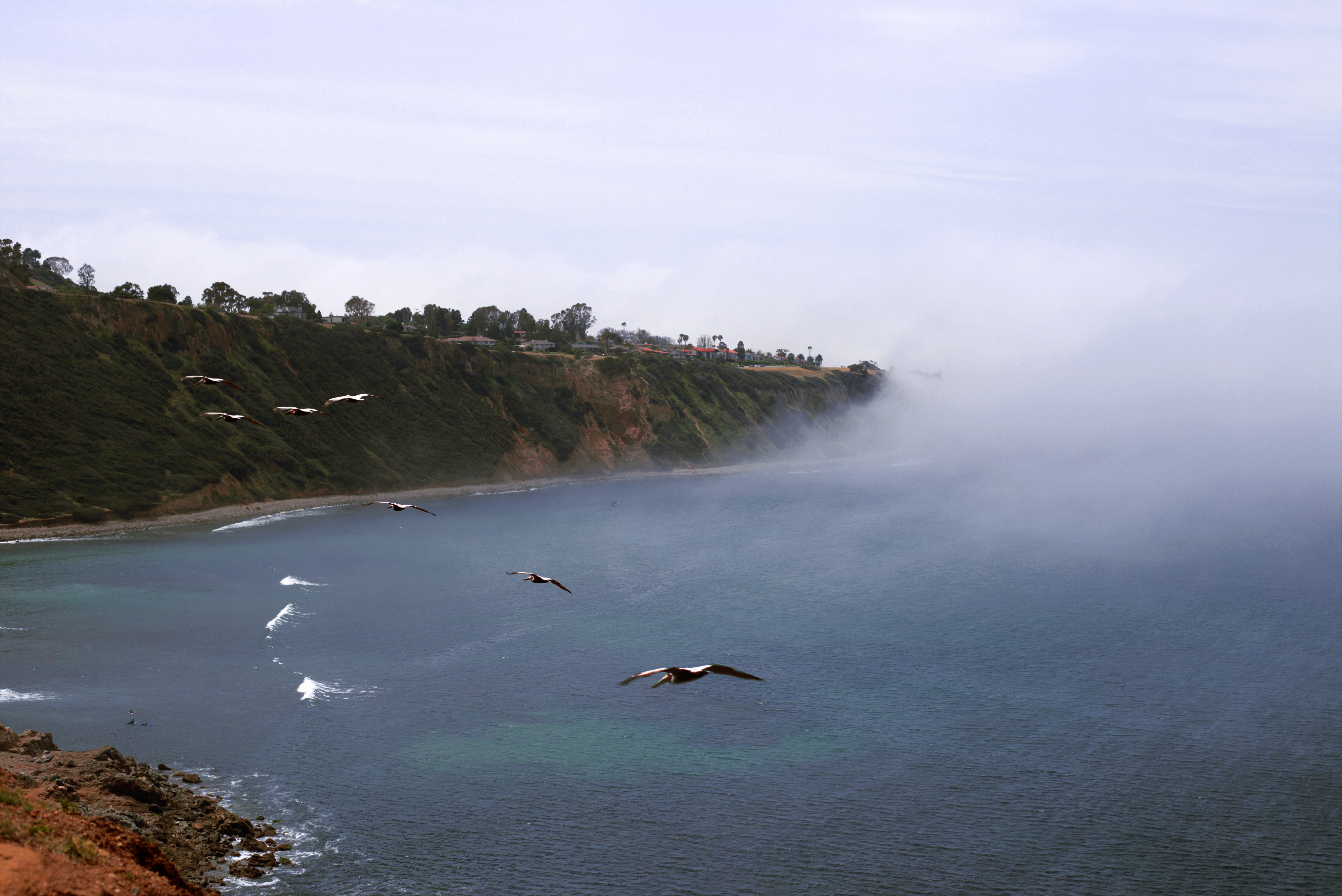 A body of water surrounded by a lush green hillside