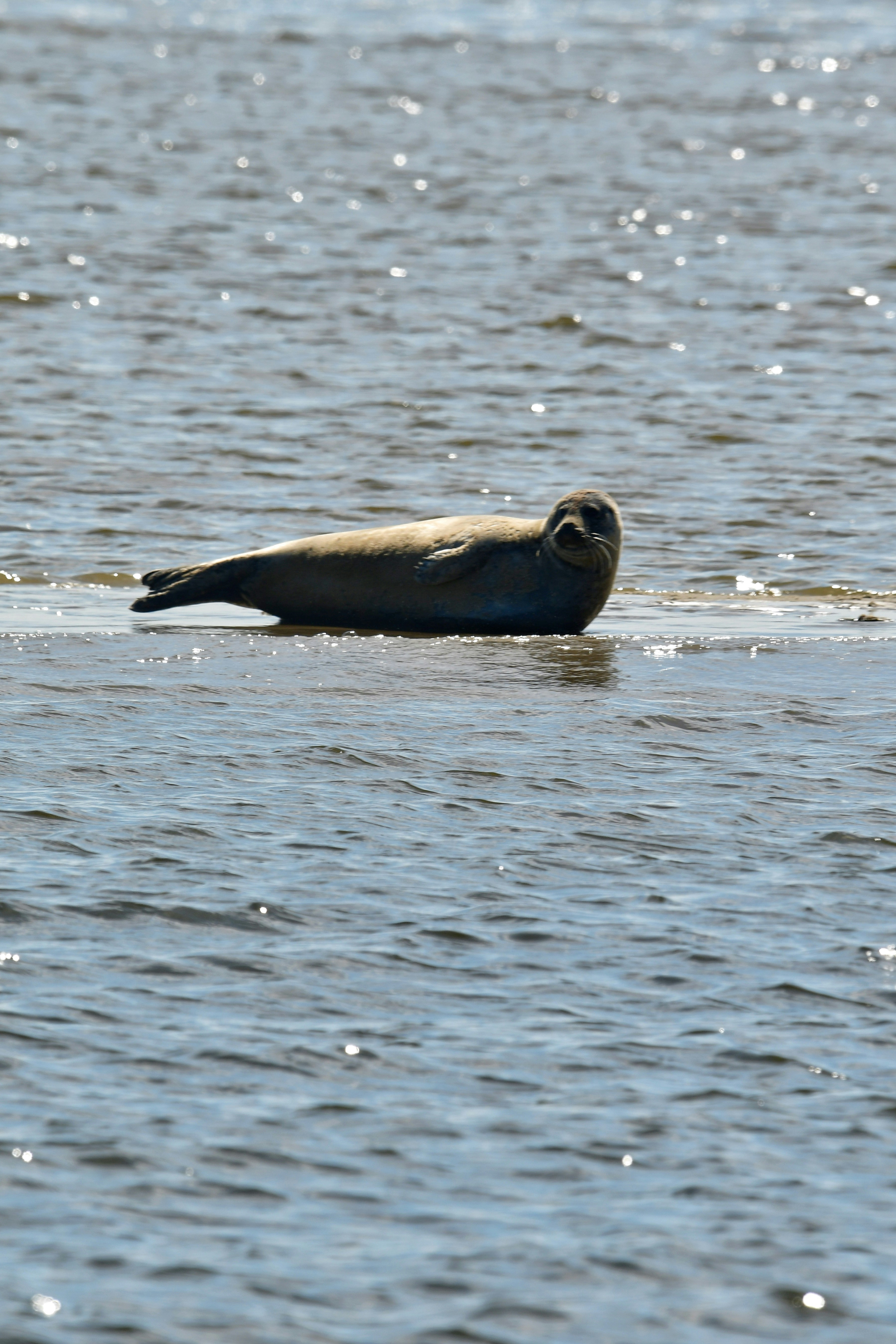 Photo by pedrino5_official