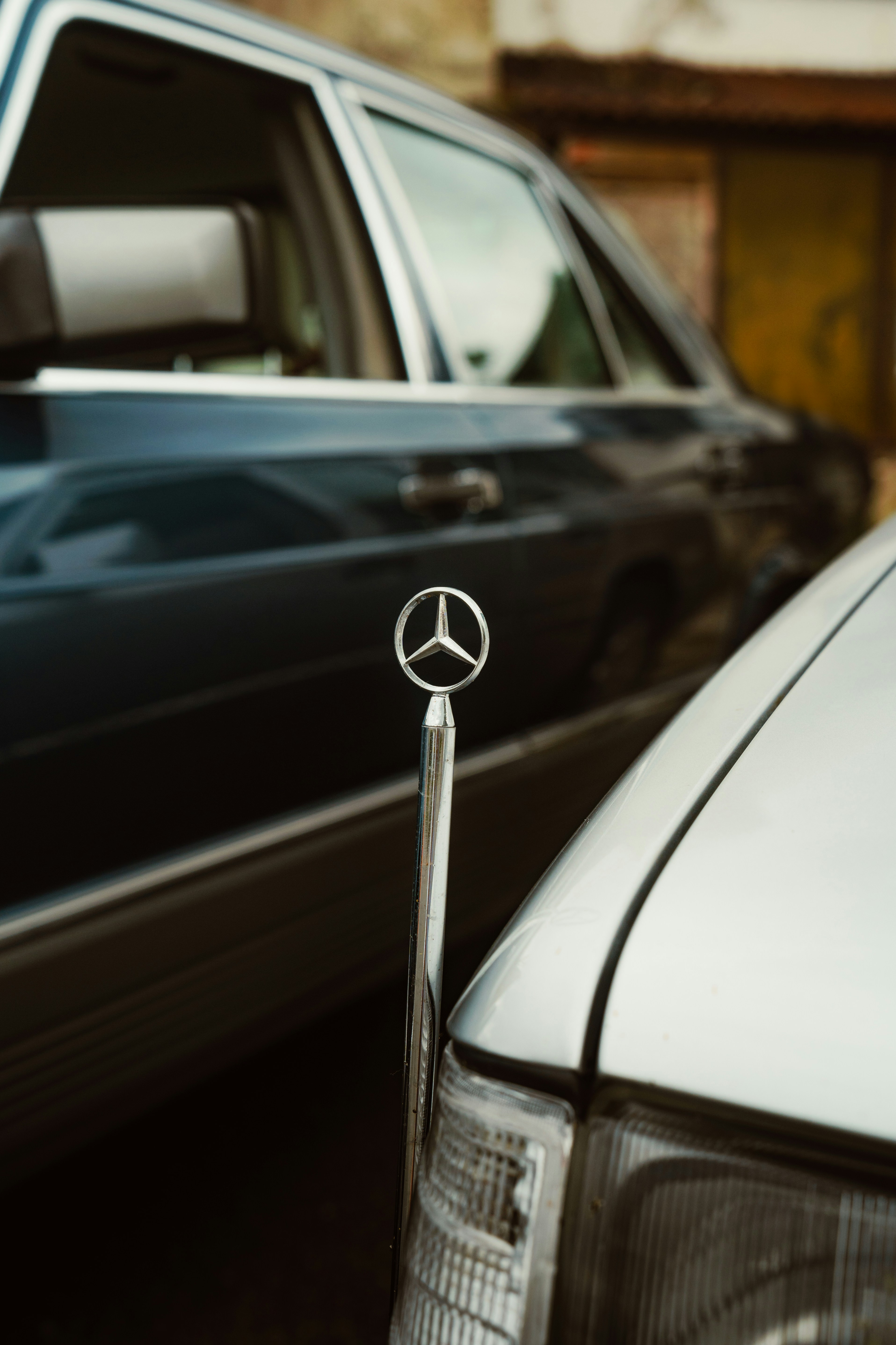 Photo by venajeborec