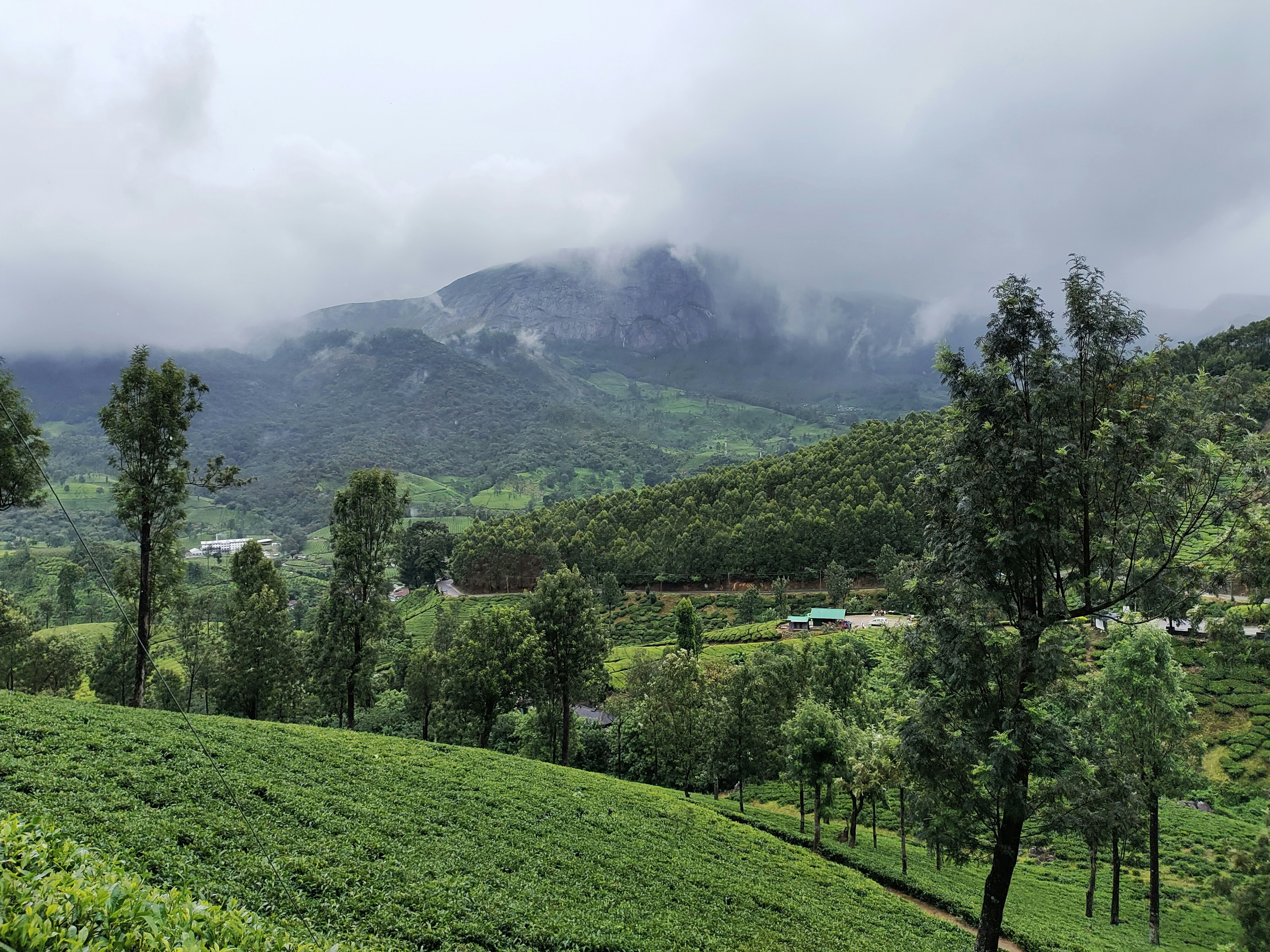 Photo by srvdhar