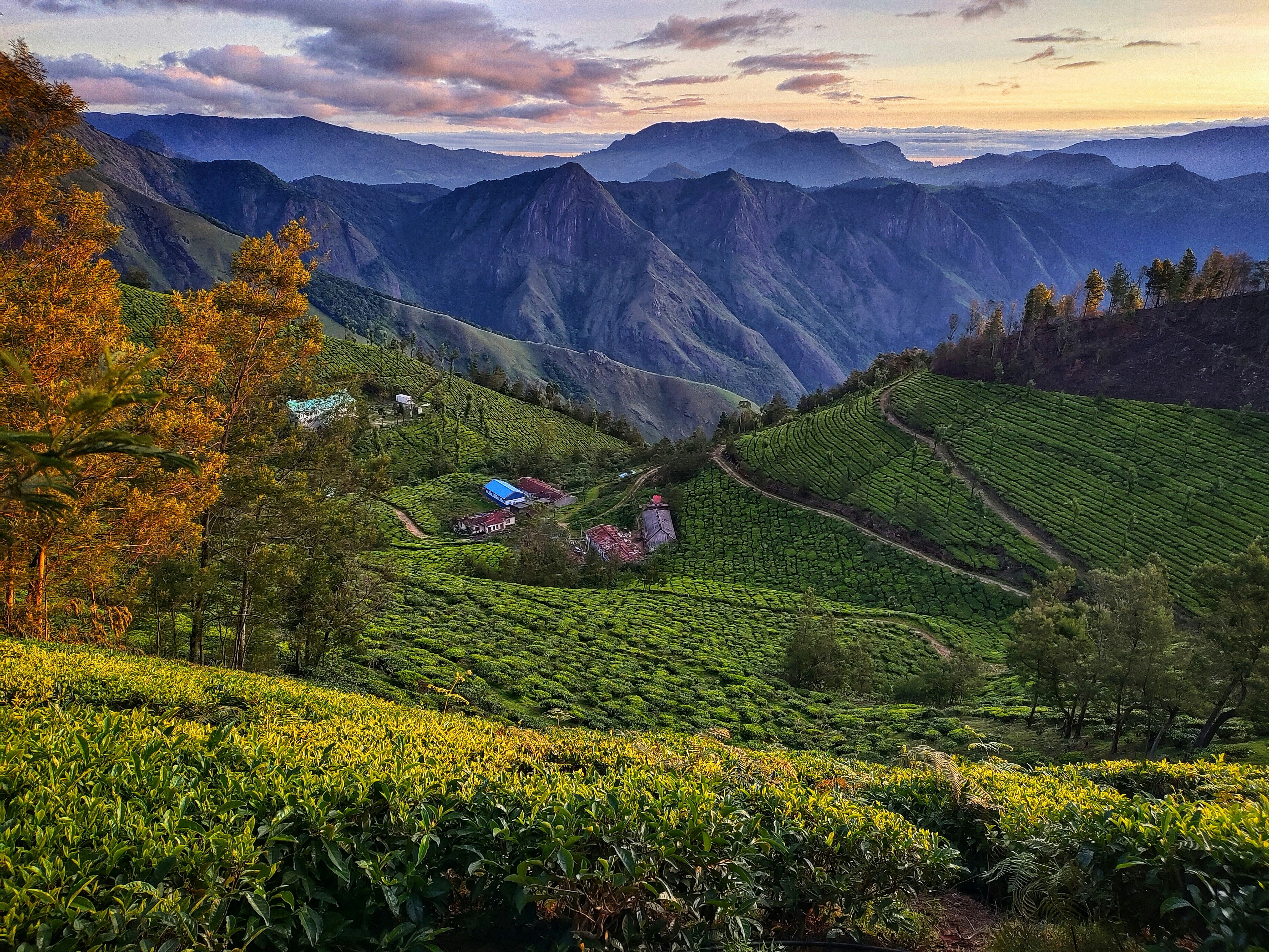 A scenic view of a valley with mountains in the background