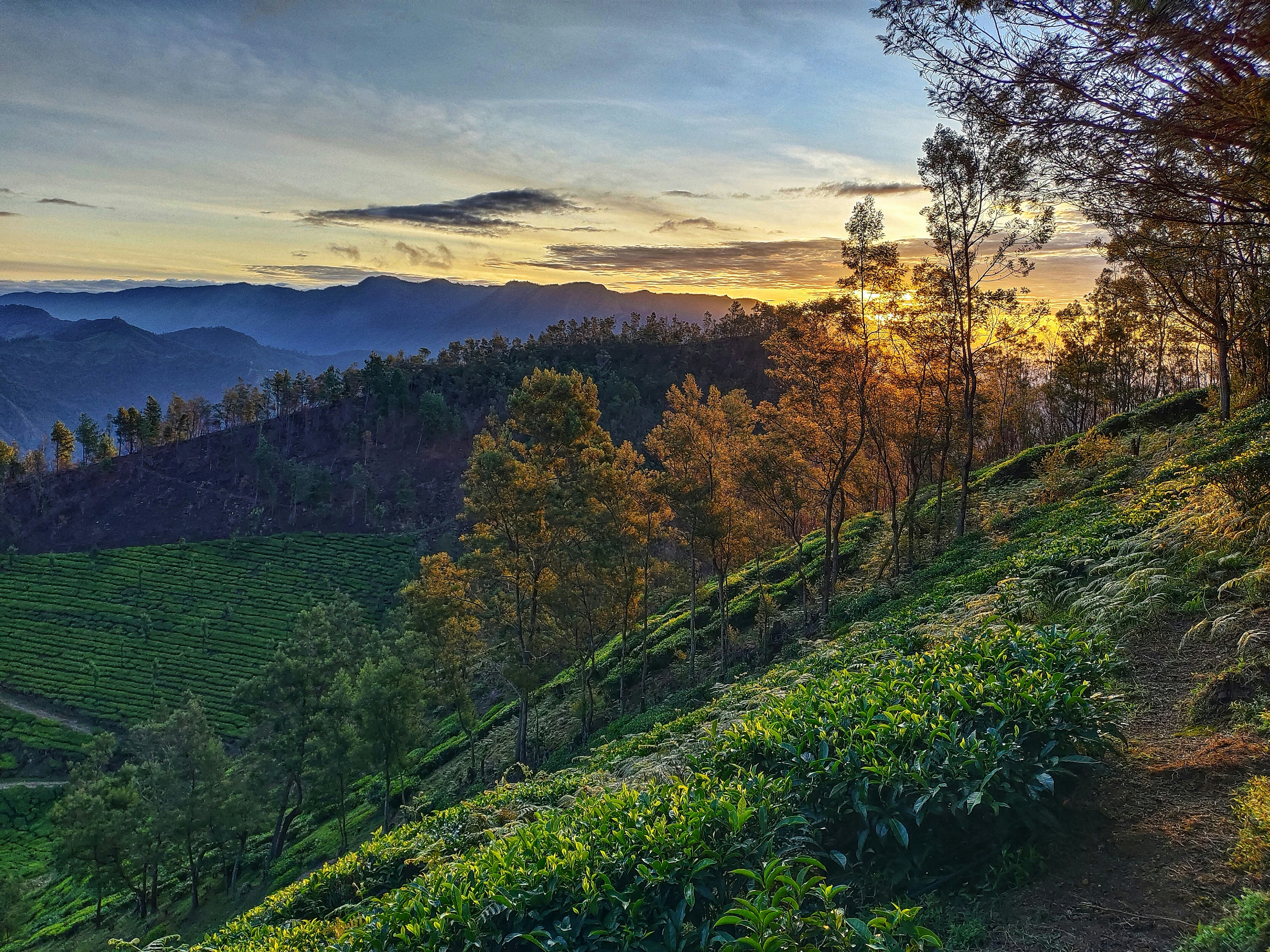 Photo by srvdhar