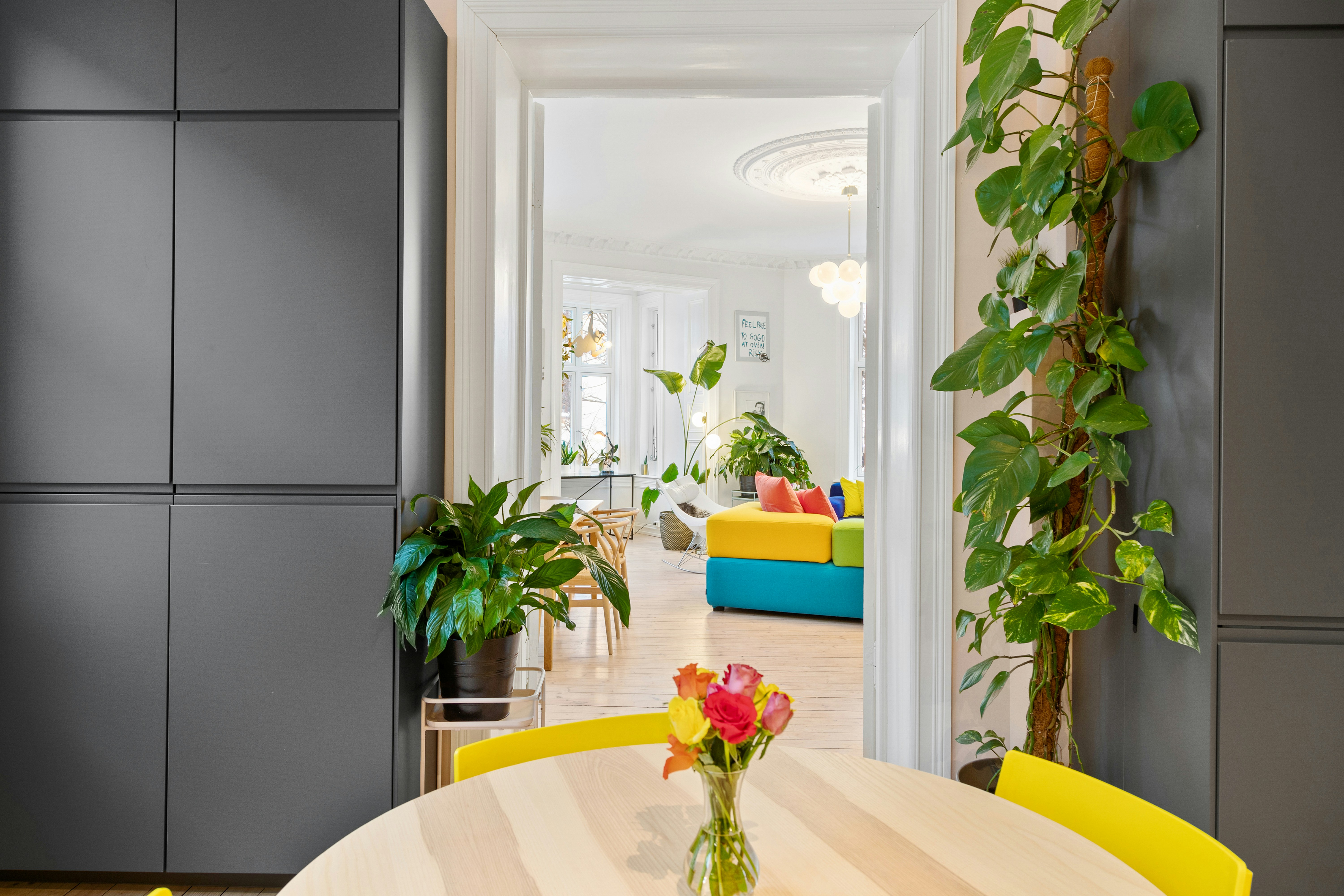 Photo by alextyson195