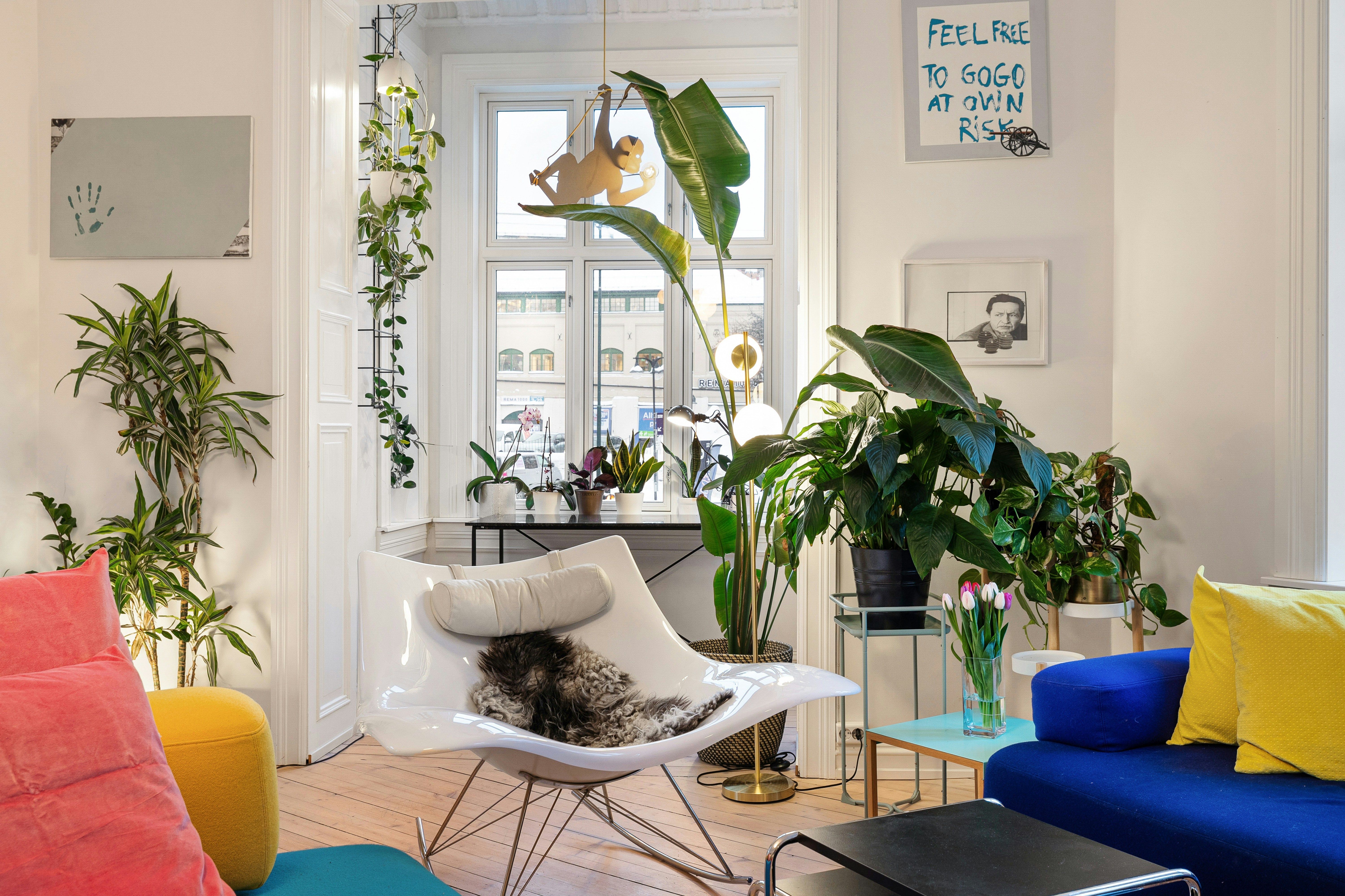 A living room filled with furniture and lots of plants