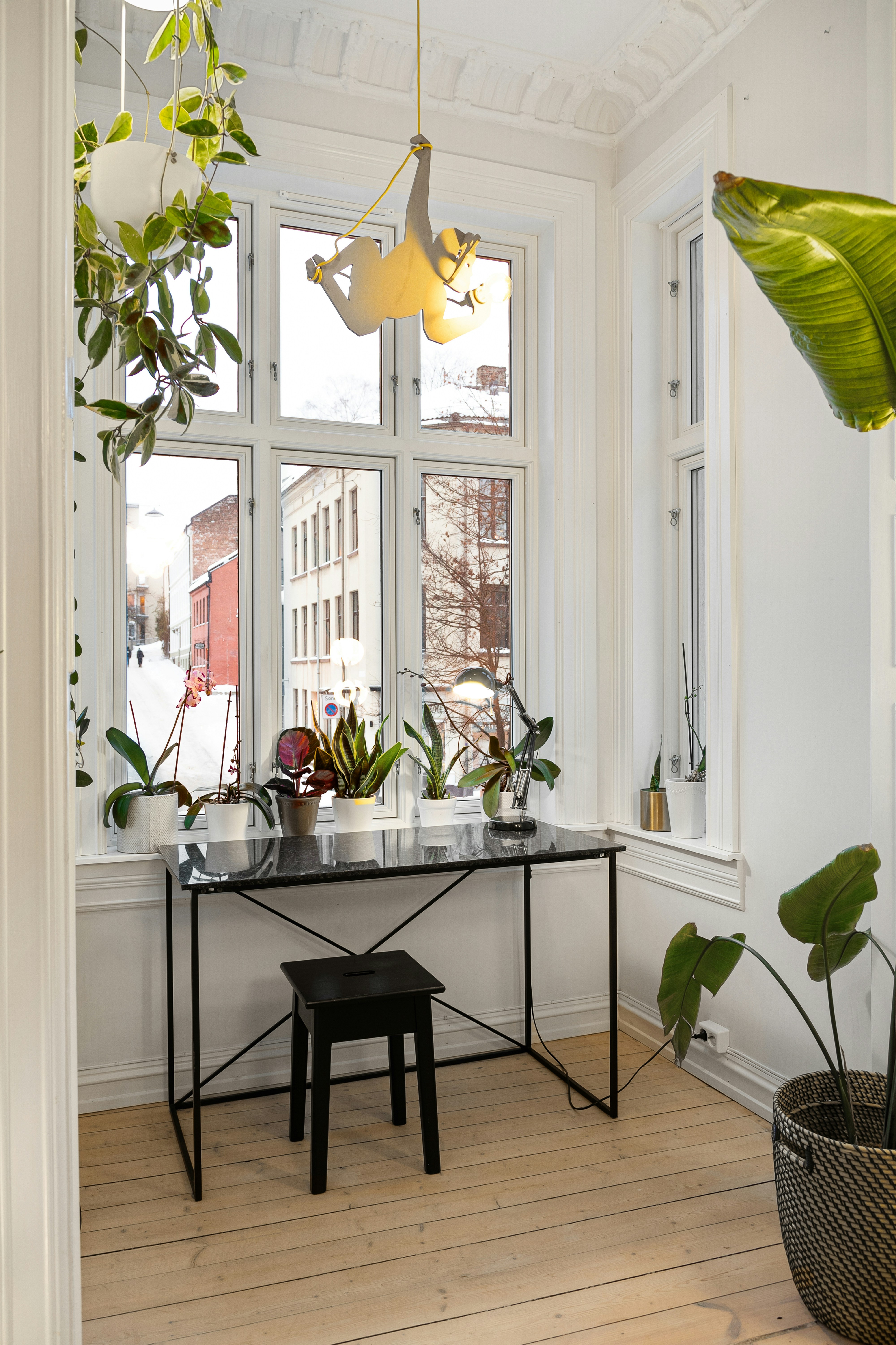 Photo by alextyson195