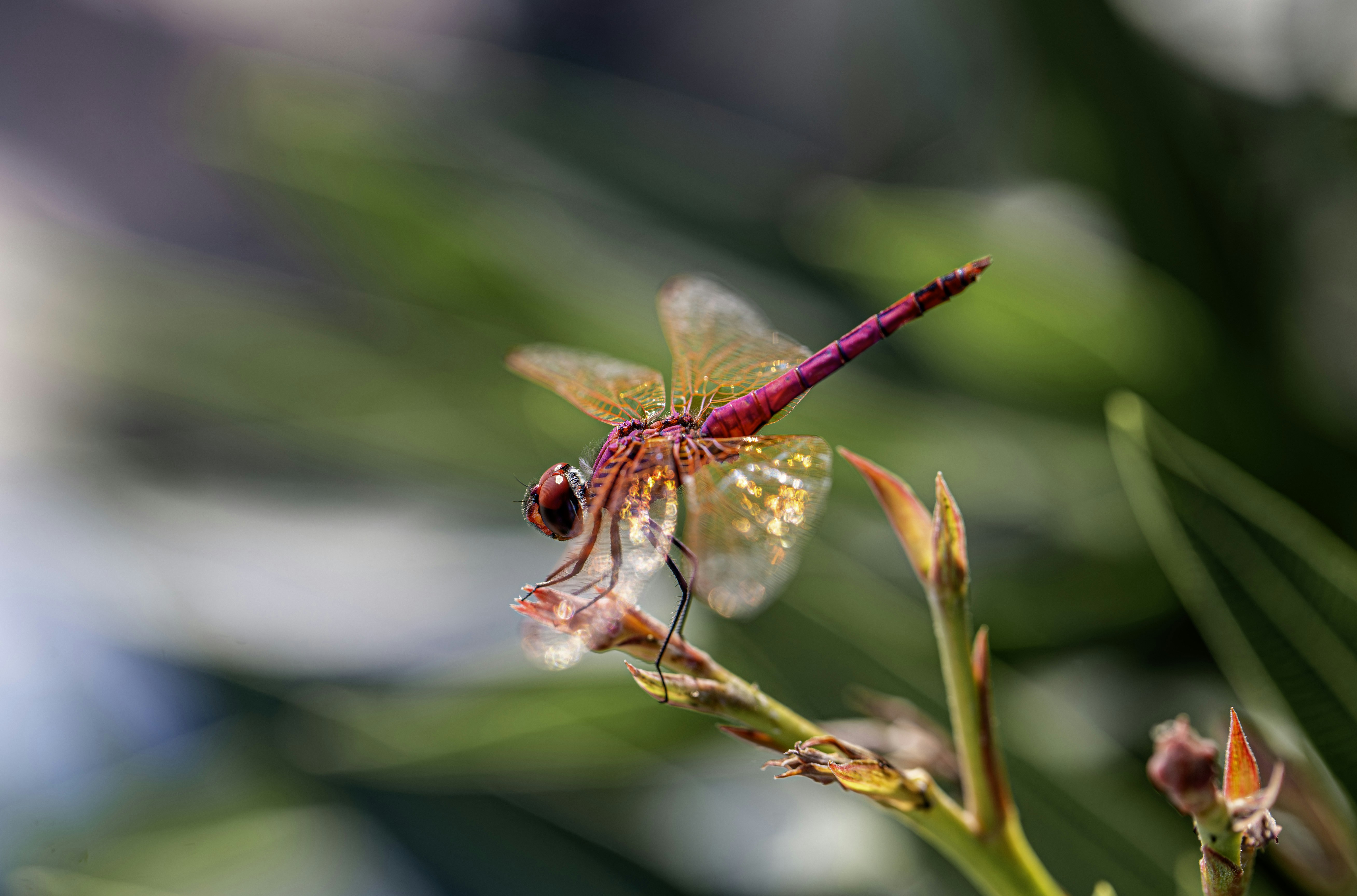 Photo by erik_karits