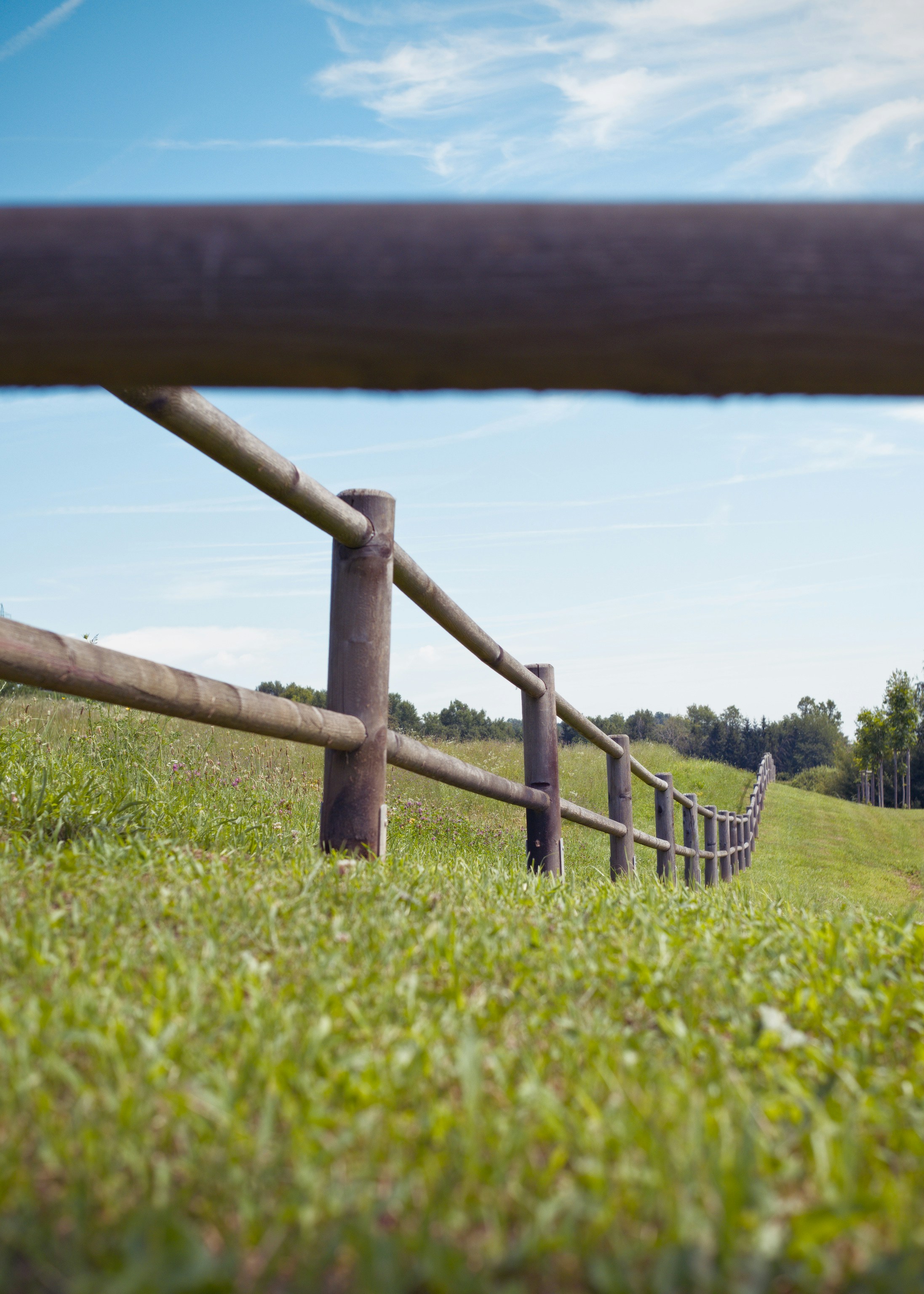 Photo by donkeyradish