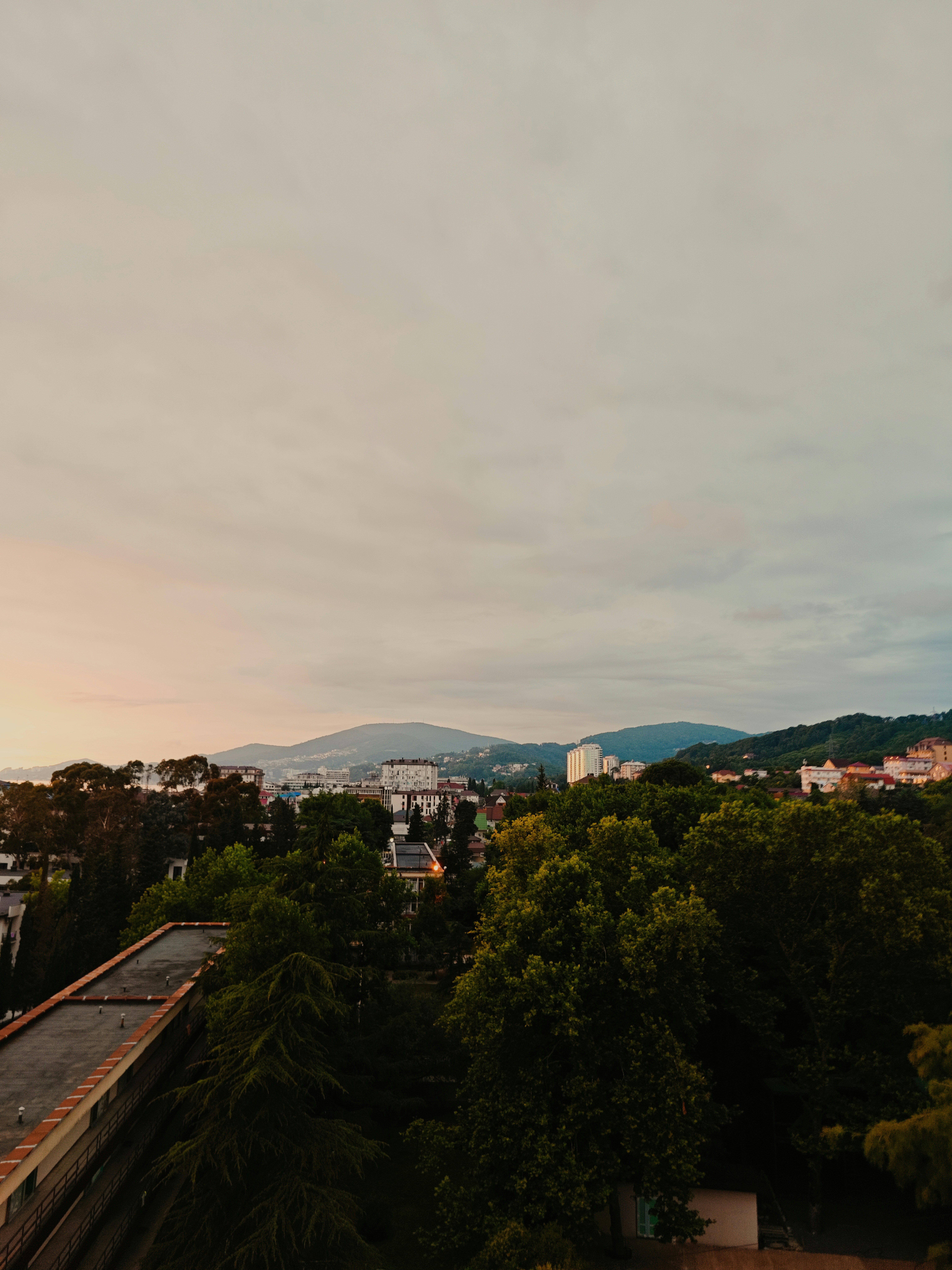 Photo by confettiparade