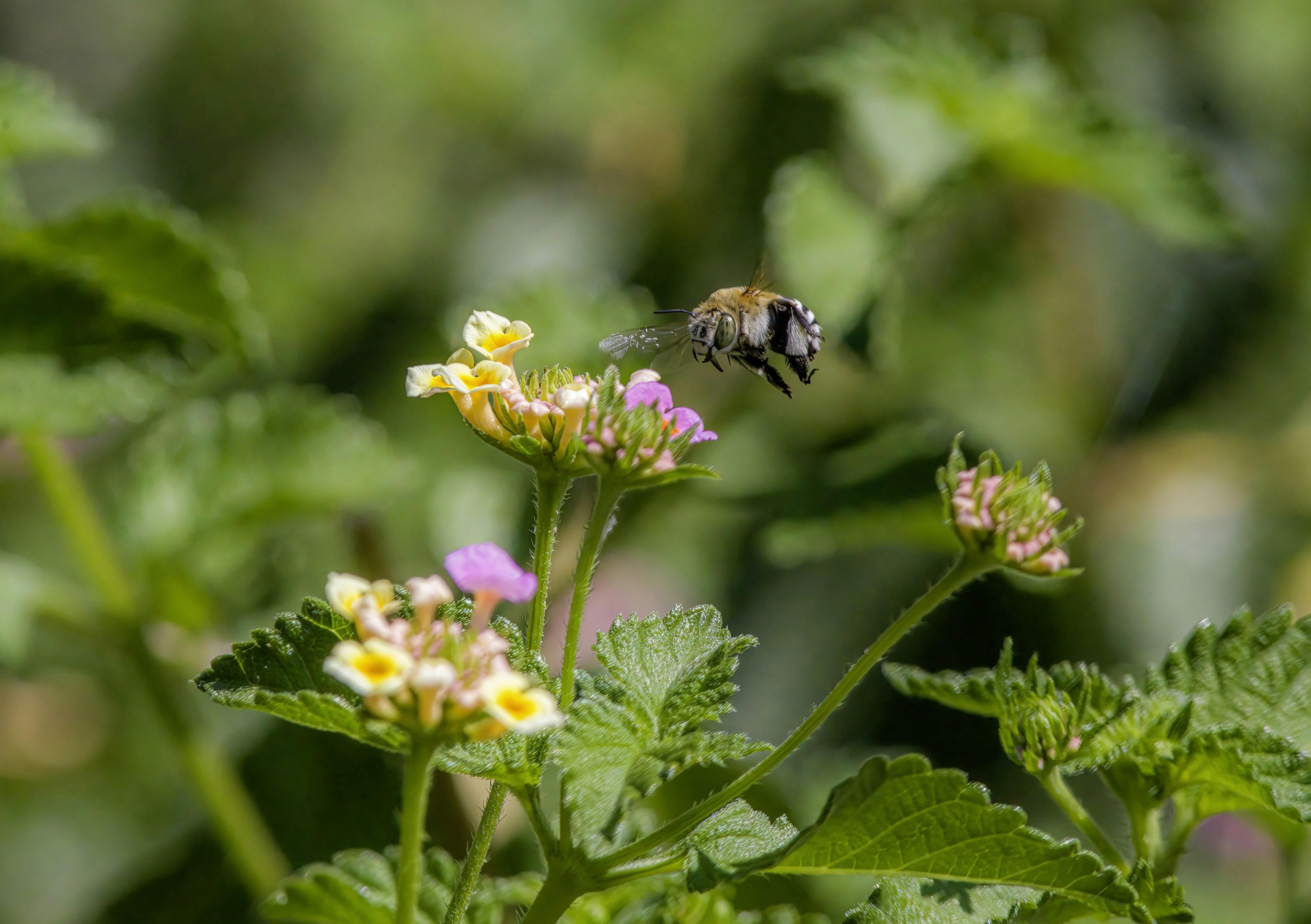 Photo by erik_karits