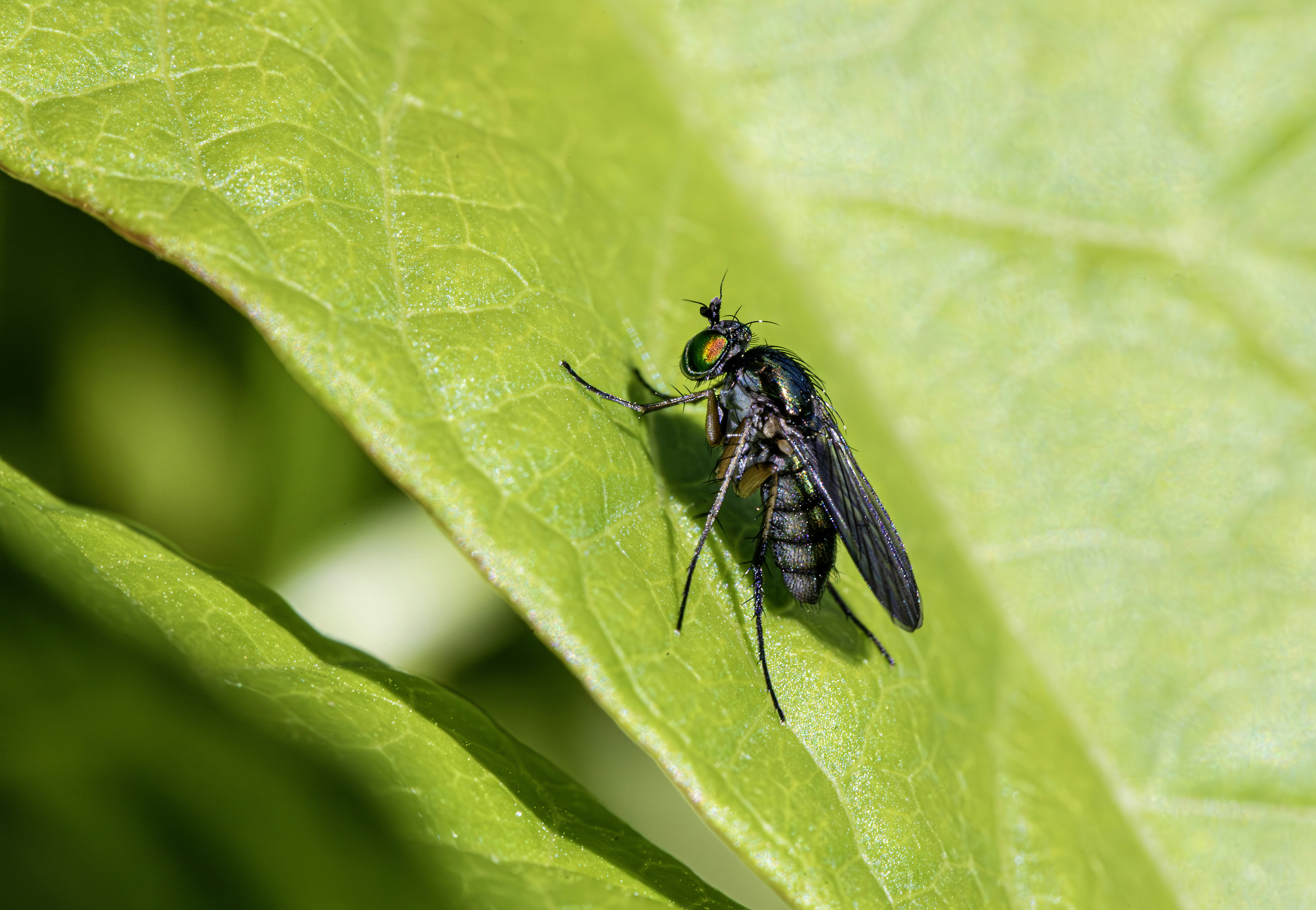 Photo by erik_karits