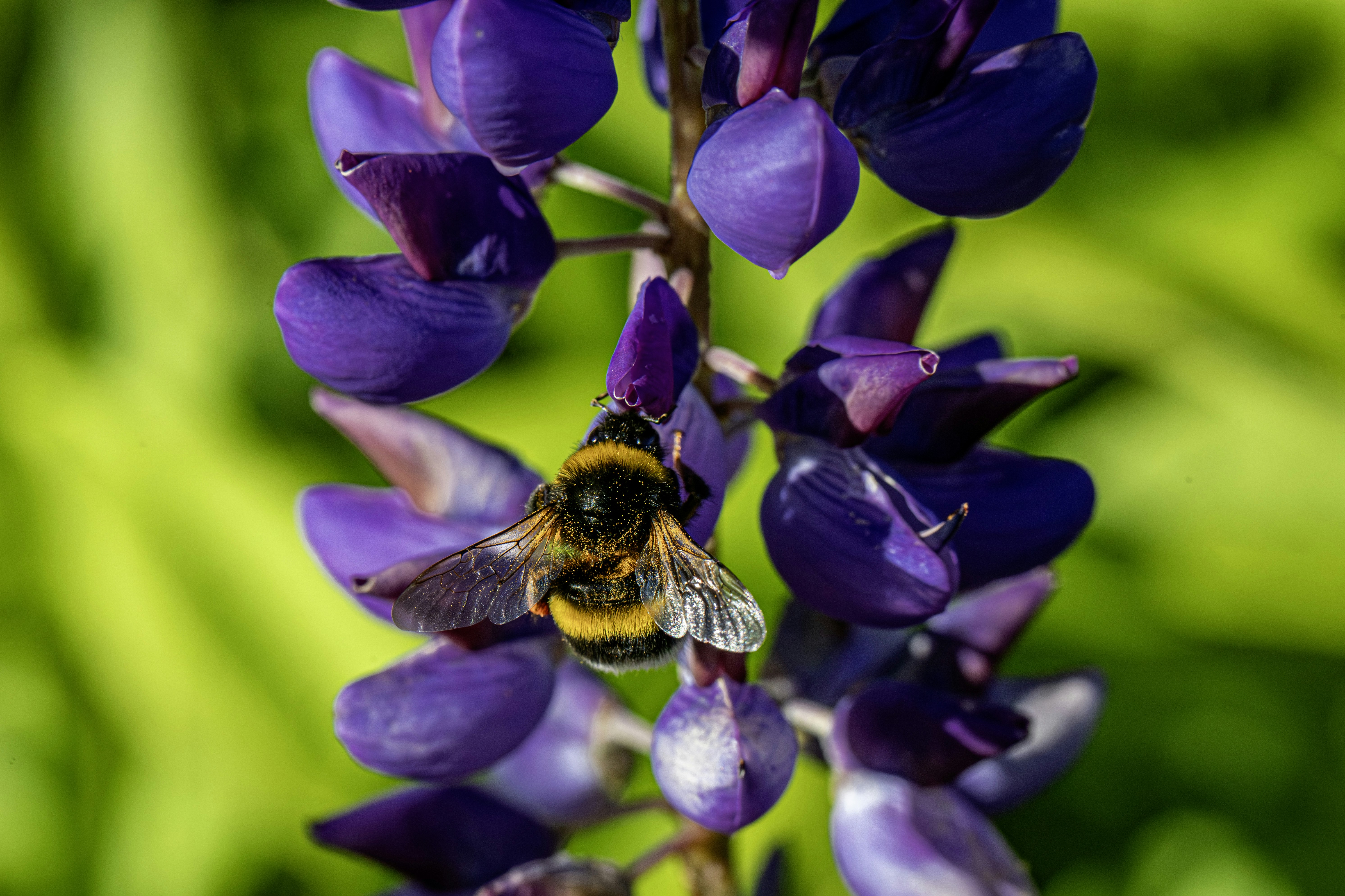 Photo by erik_karits