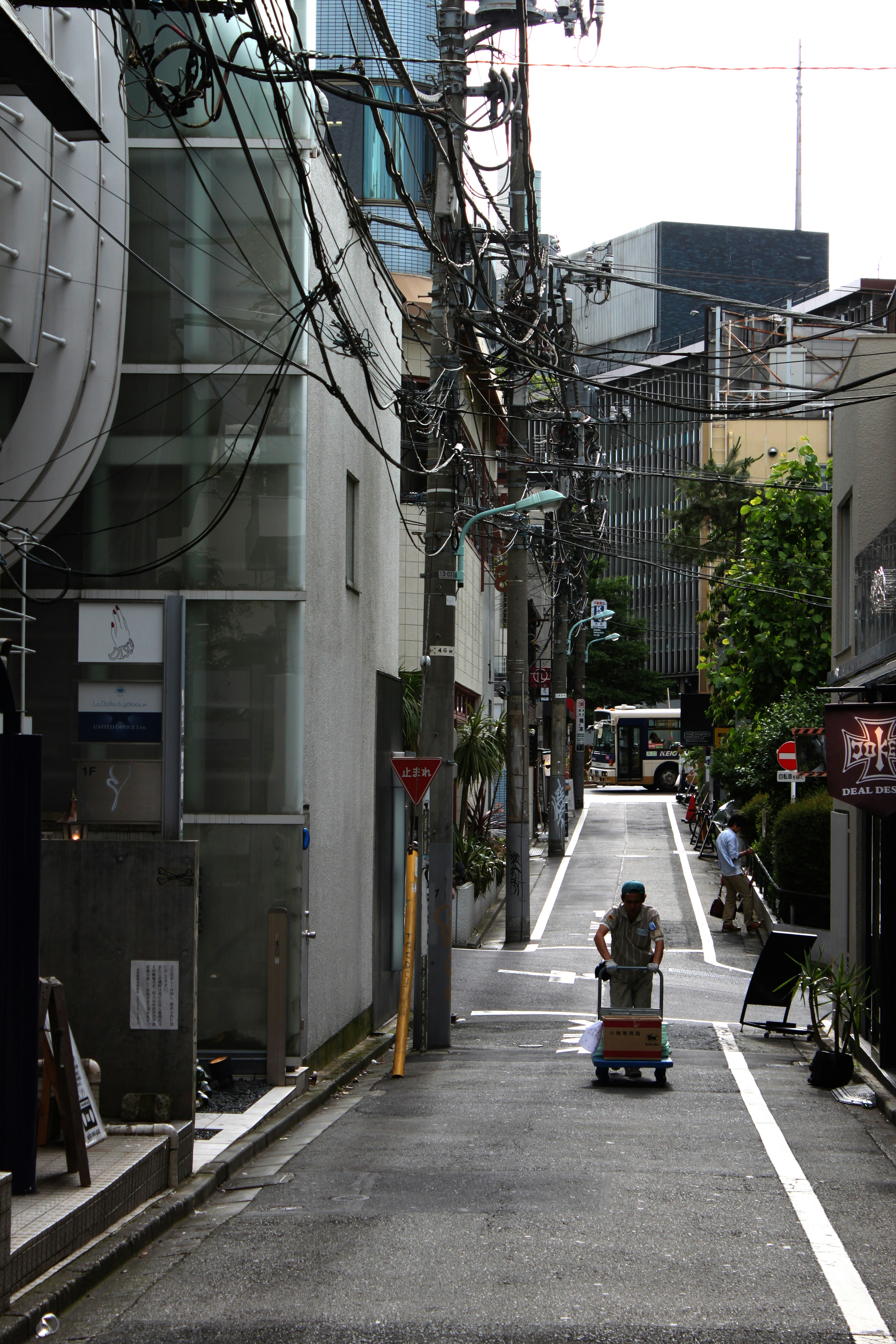 Photo by miguelbaixauli