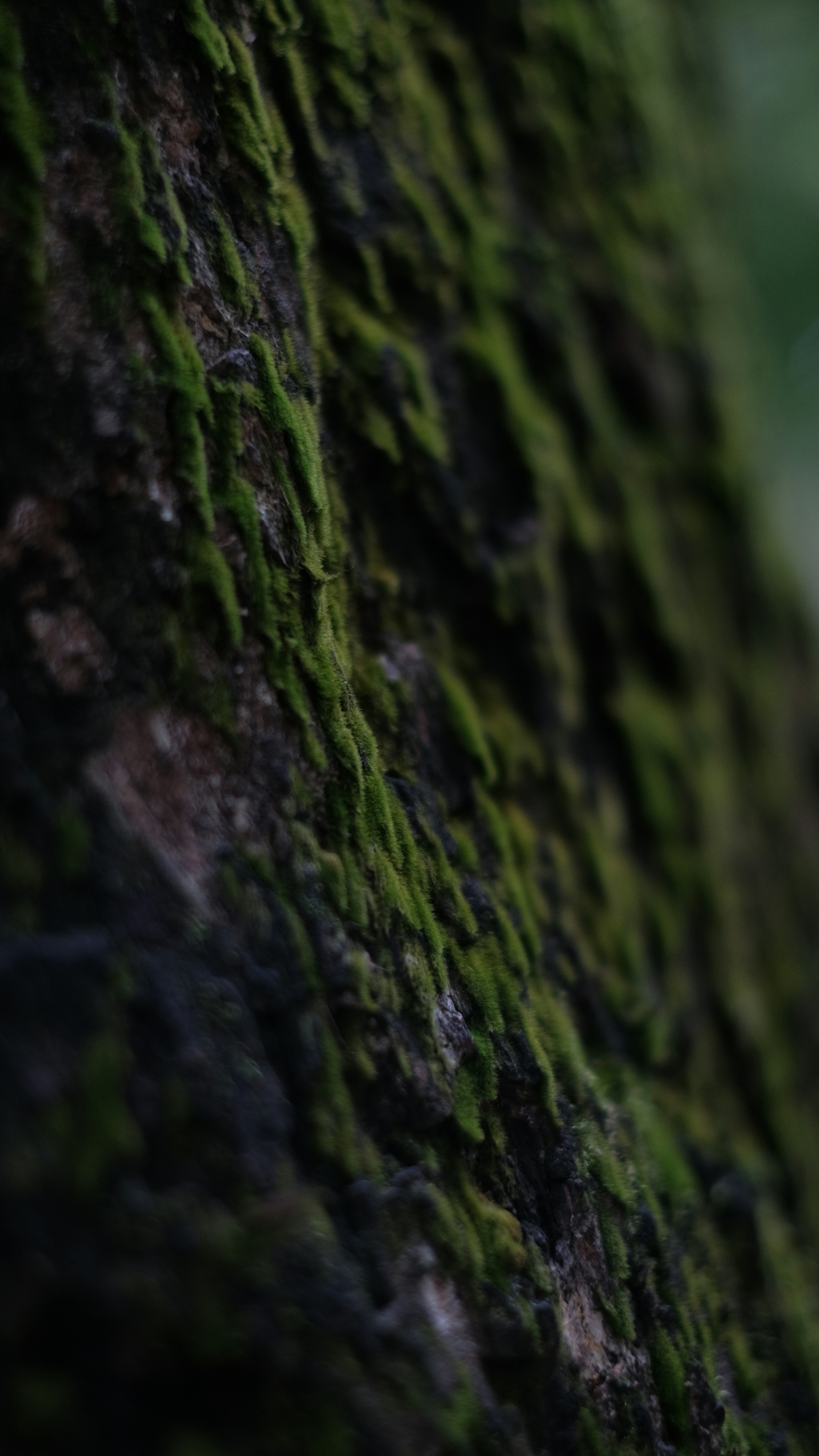 Photo by hanxiaoyaaaaa