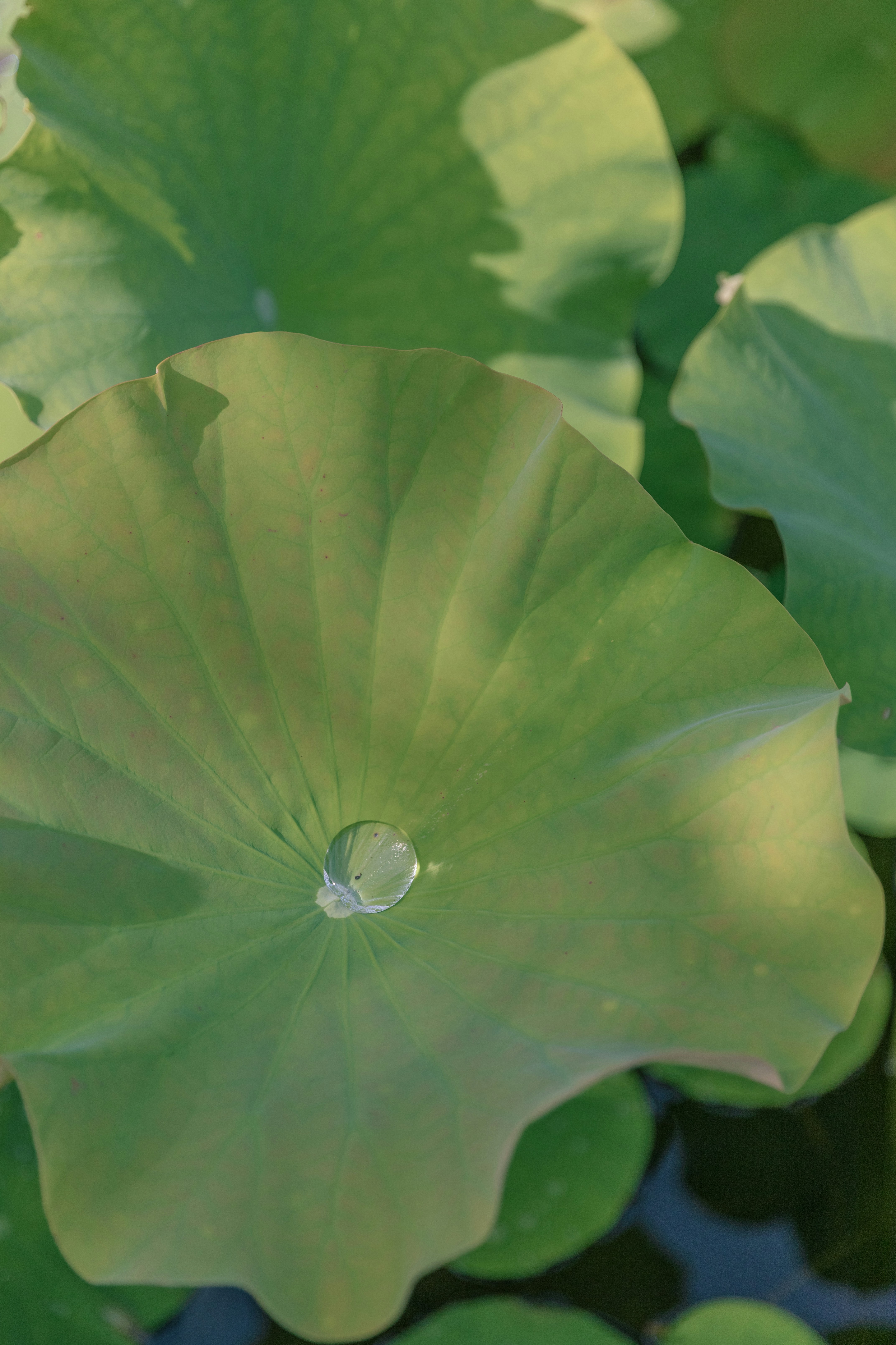 Photo by hanxiaoyaaaaa