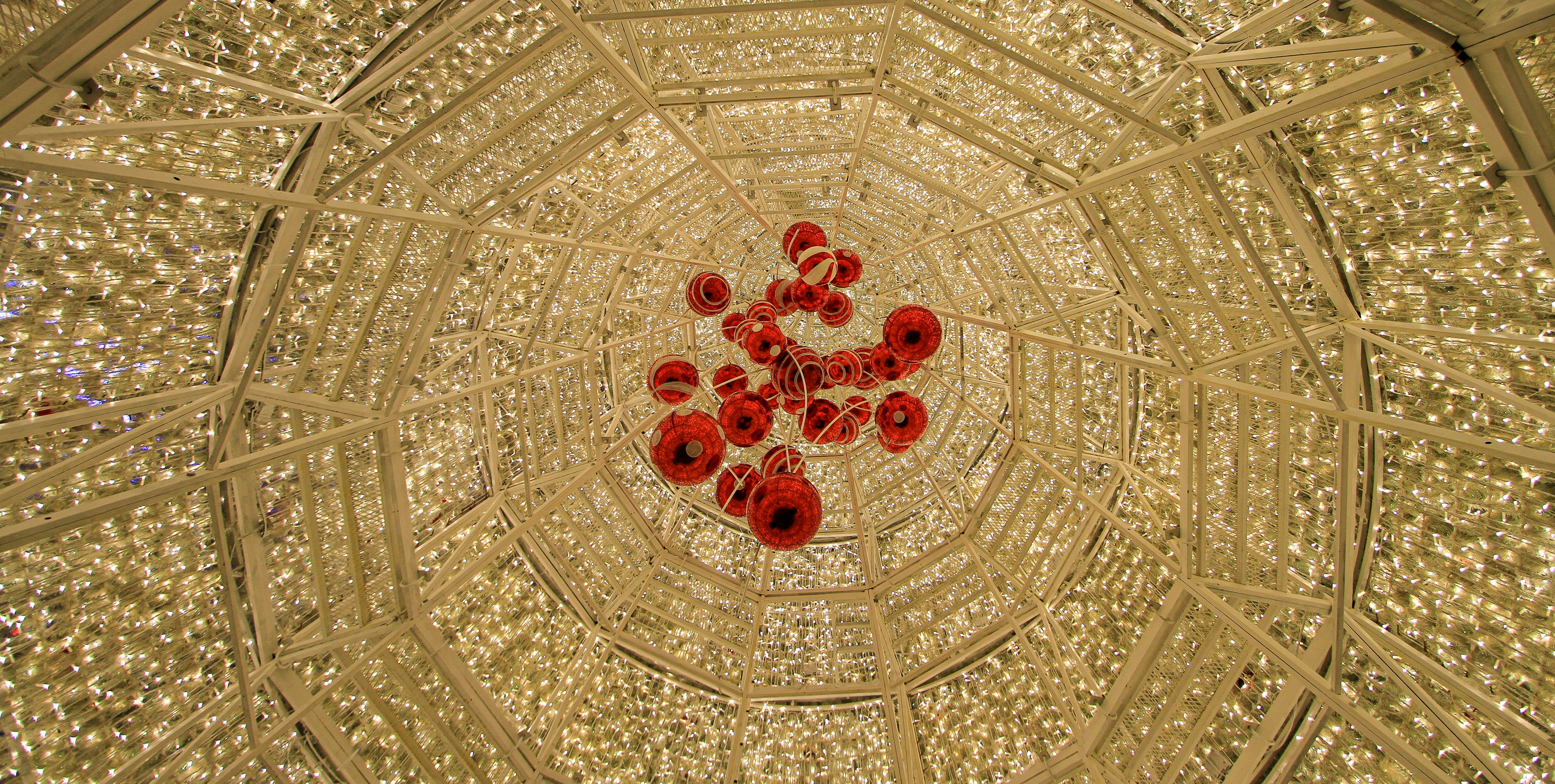 A close up of a red object in a glass bowl