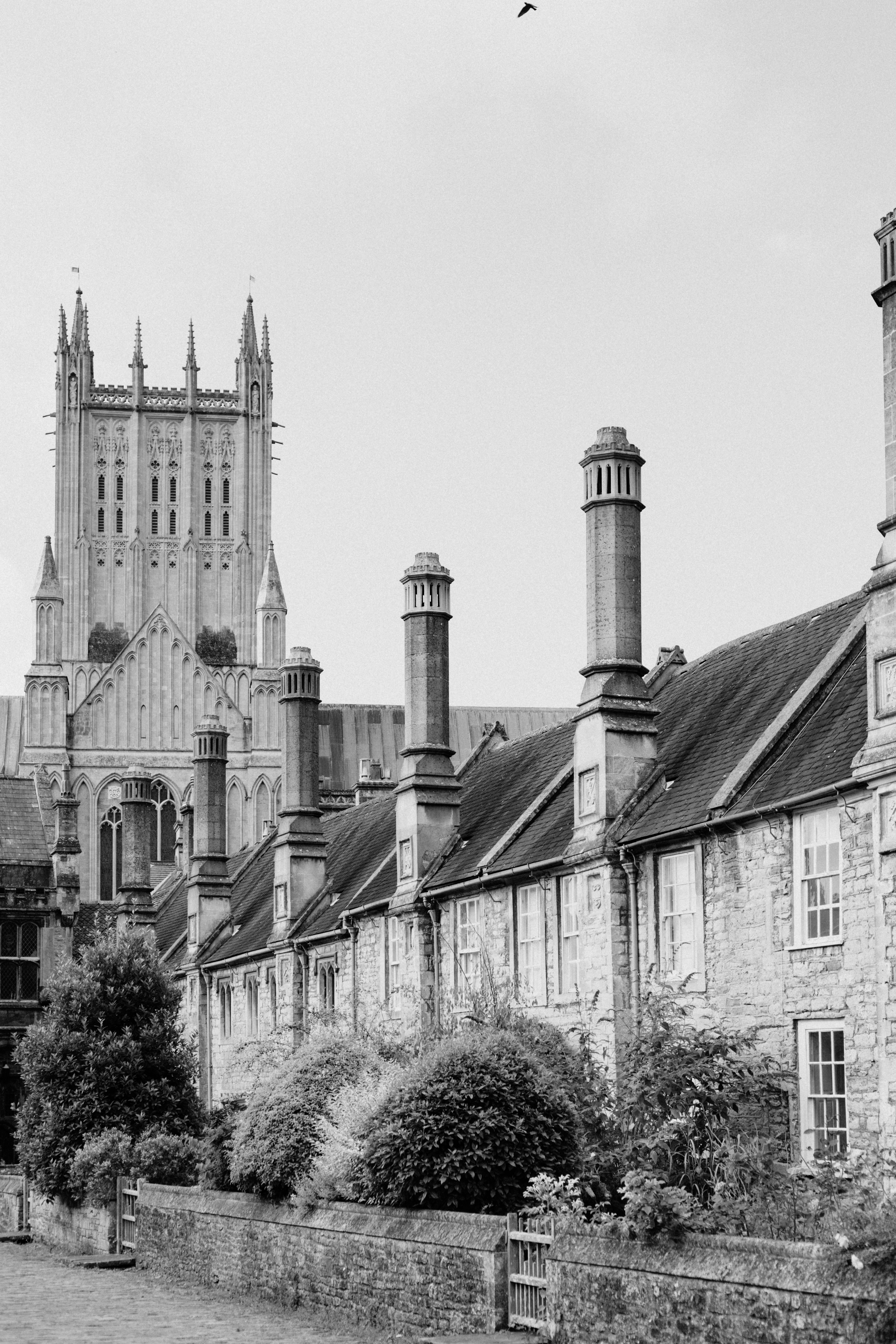 Photo by anniespratt